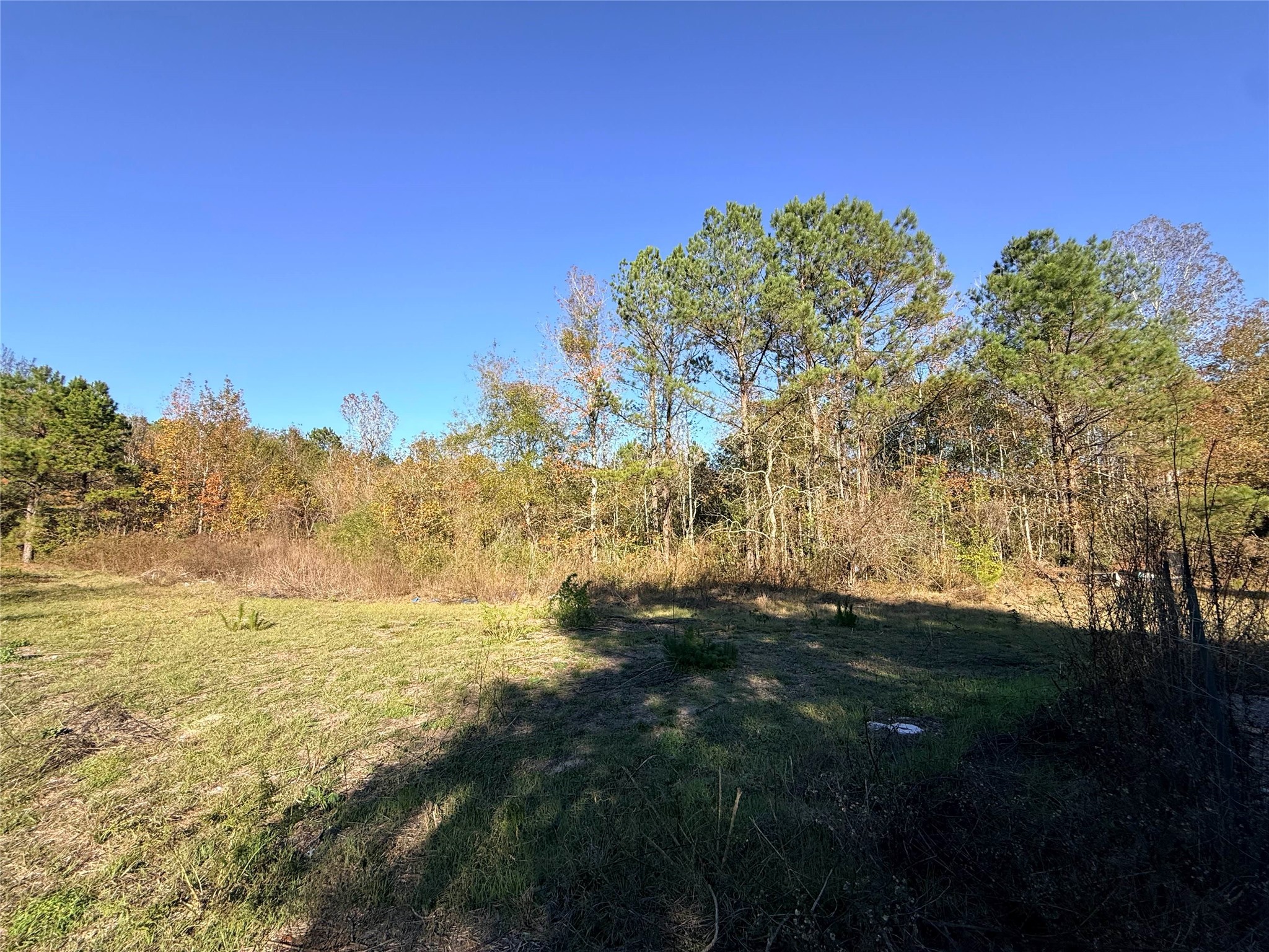 719 County Rd 3880 Property Photo 10
