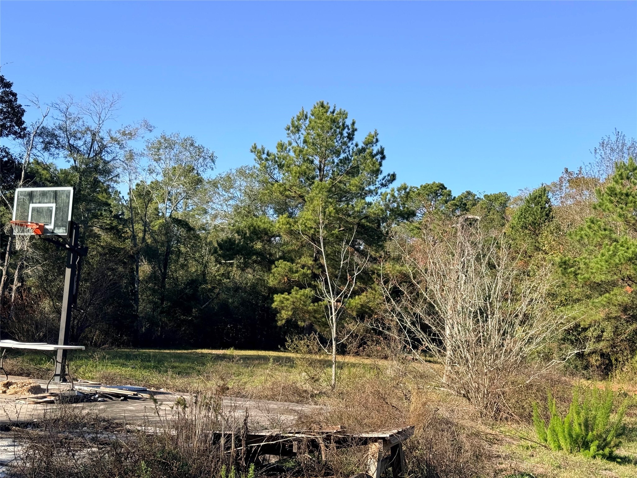 719 County Rd 3880 Property Photo 11