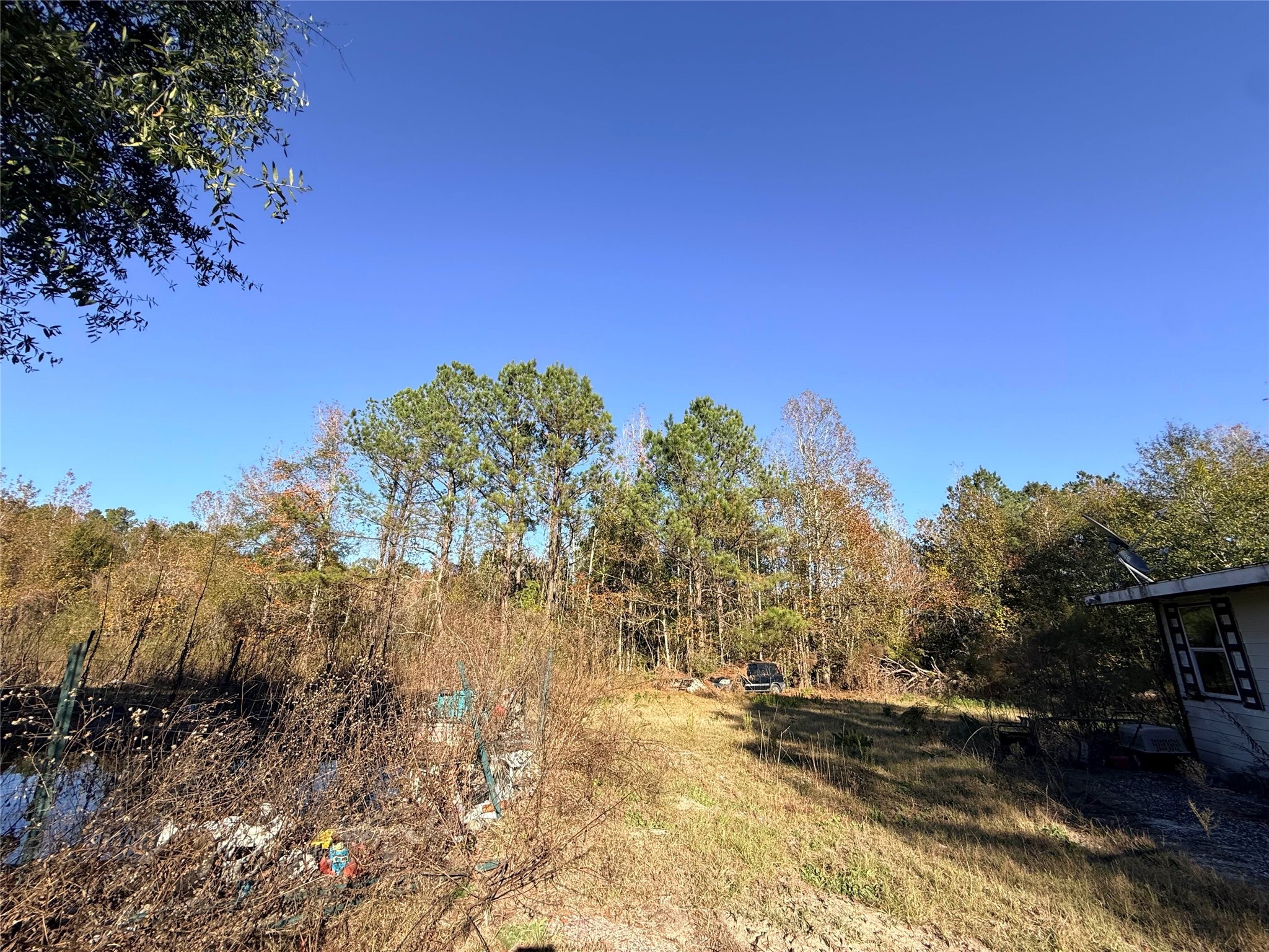 719 County Rd 3880 Property Photo 14