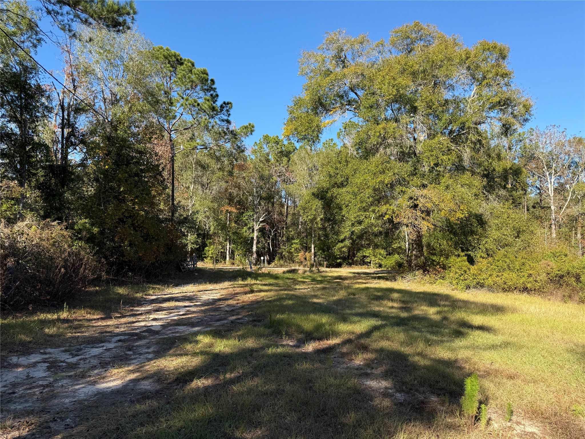 719 County Rd 3880 Property Photo 15
