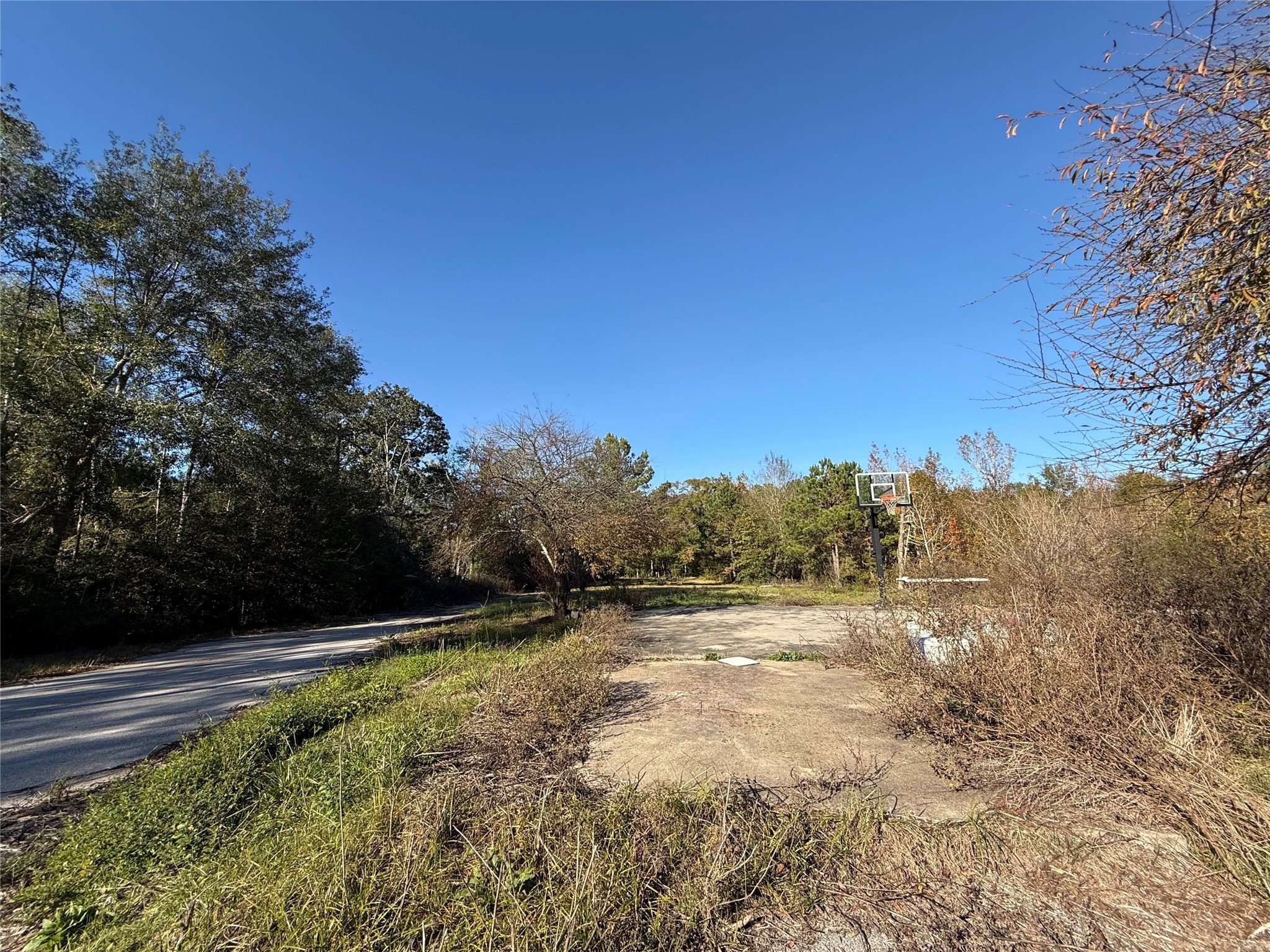 719 County Rd 3880 Property Photo 16