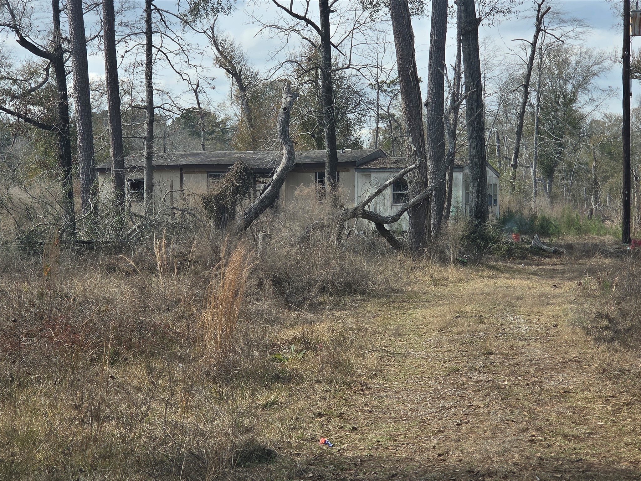 14848 Old Houston Rd Property Photo 5