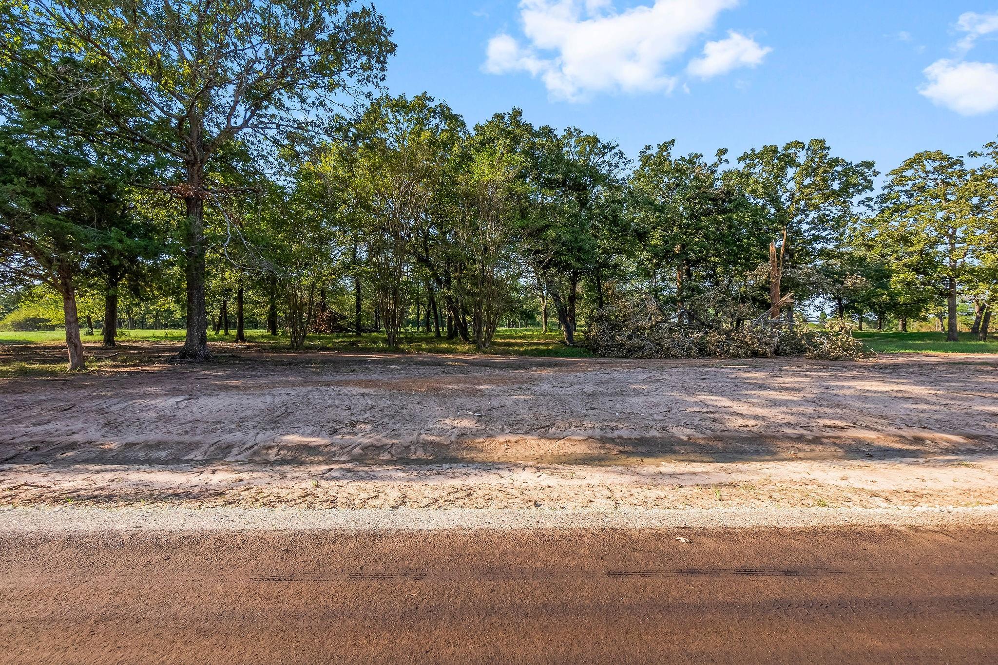 6141 Alans Memorial Lane, New Waverly Tx 77358 Property Photo 1
