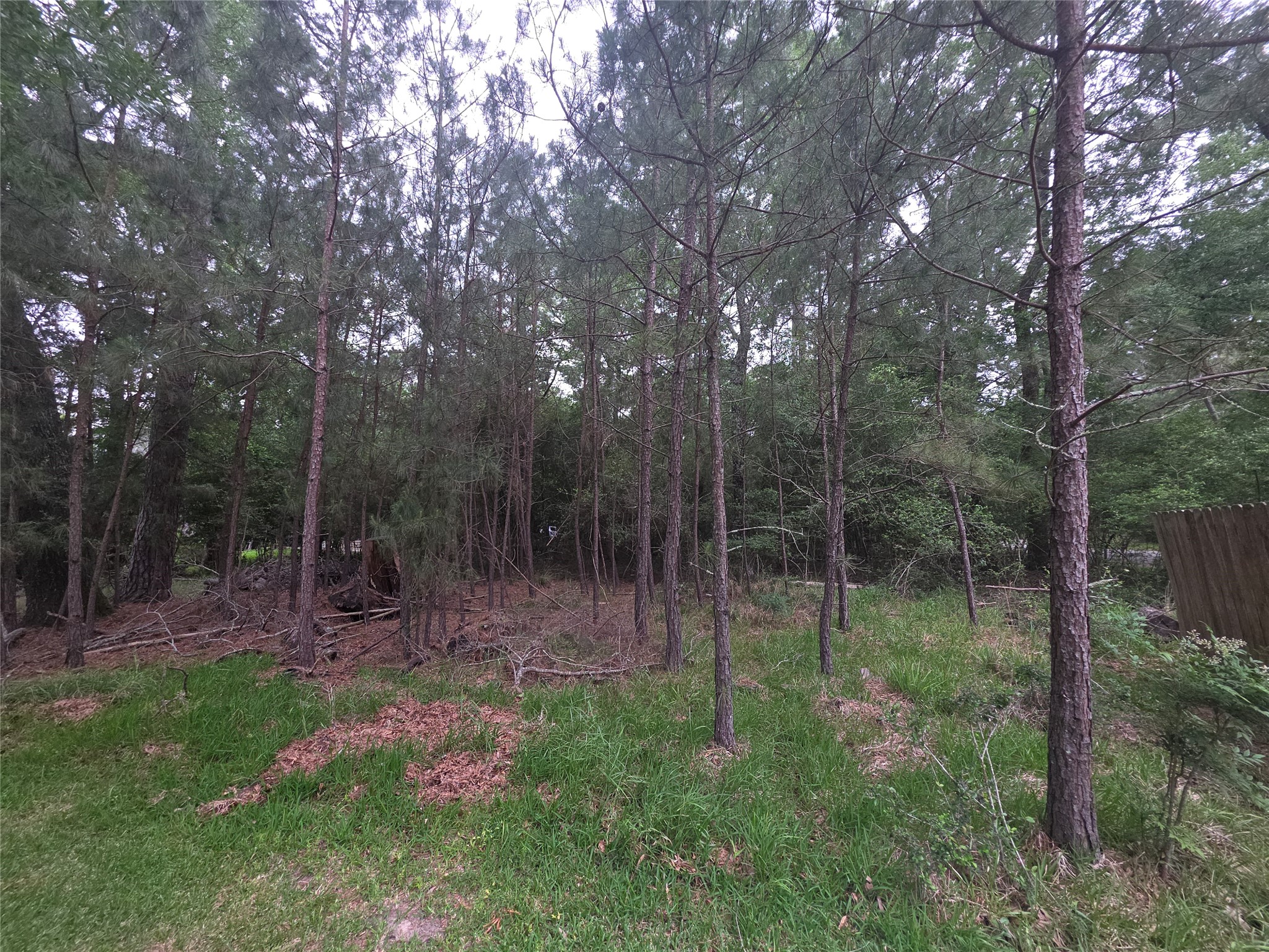 22468 Pebble Beach Way Property Photo 9