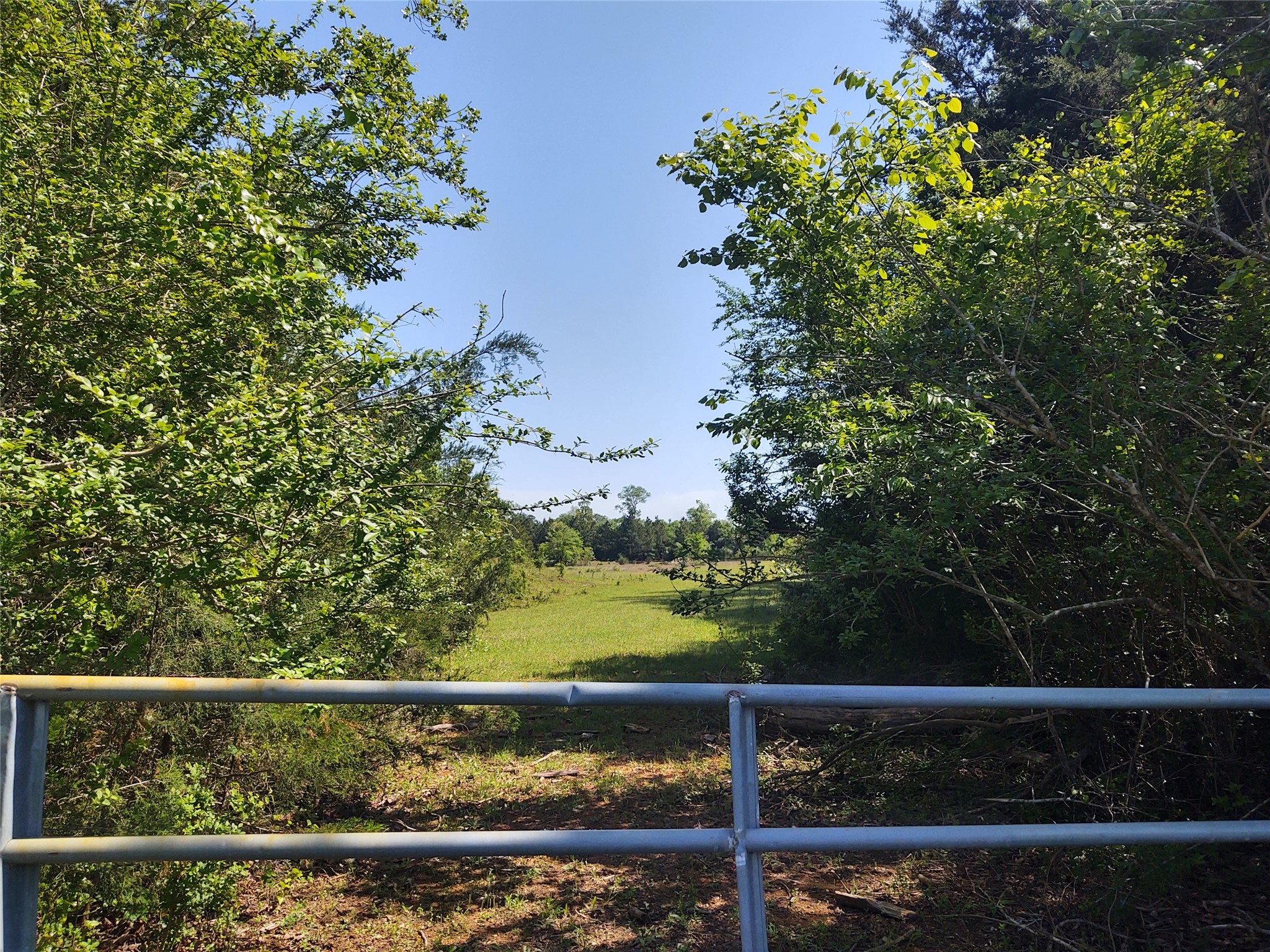 638 County Road 1737 Property Photo