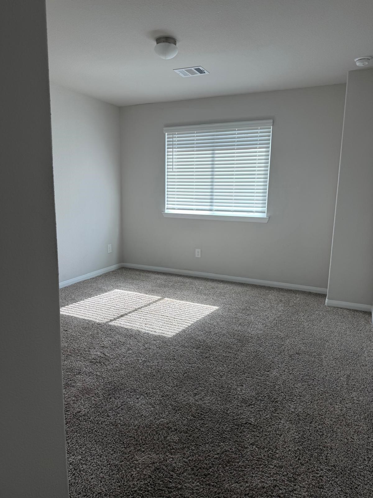 25419 Grotto Falls Lane Property Photo 14