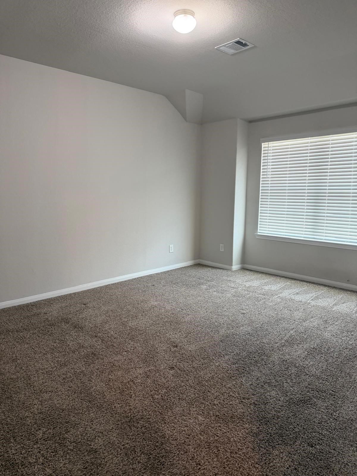 25419 Grotto Falls Lane Property Photo 19
