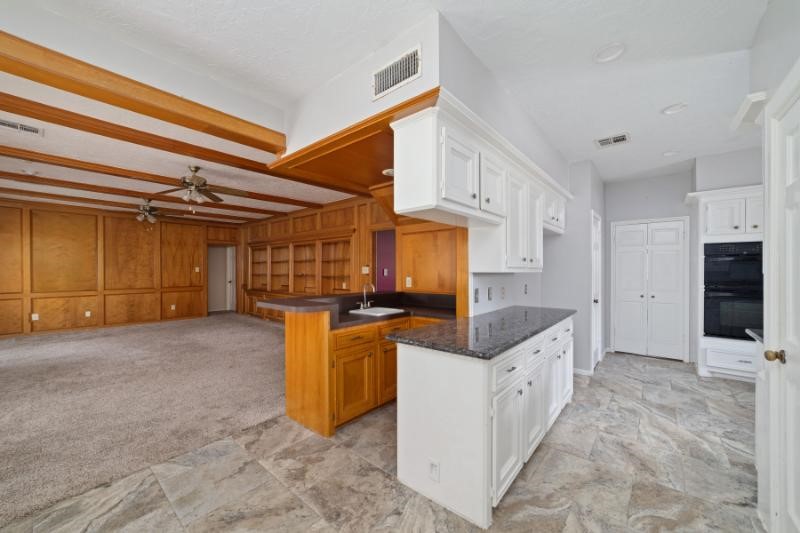 2306 Vine Creek Drive Property Photo 12