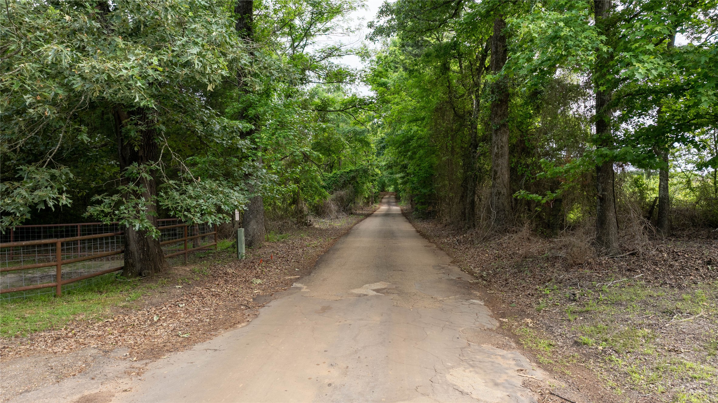 Lot 1 County Rd 1584 Property Photo 4