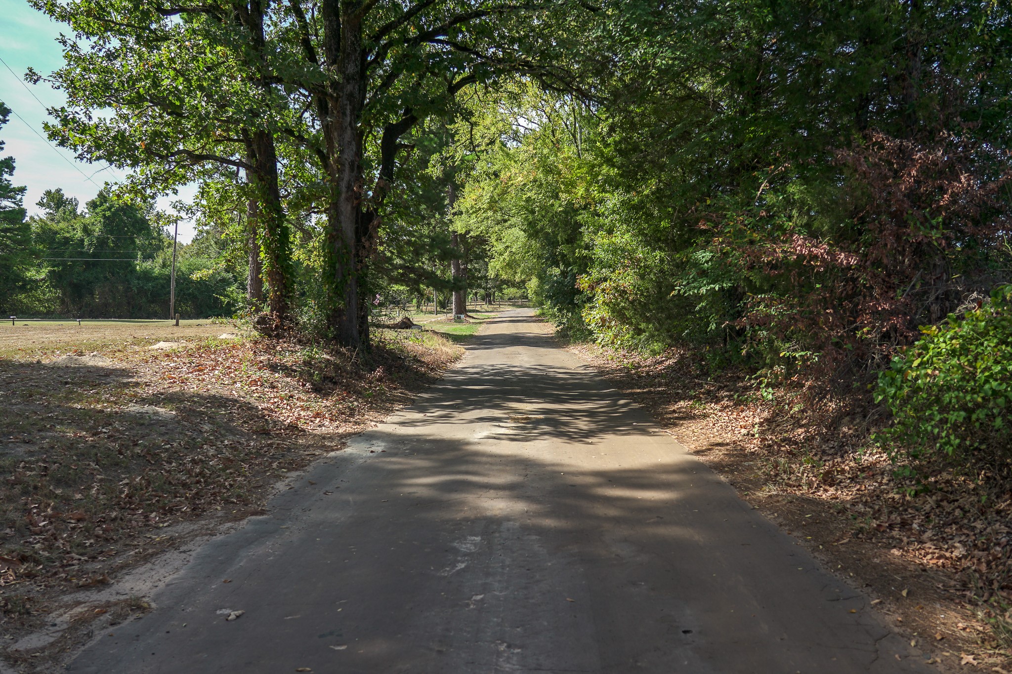 Lot 1 County Rd 1584 Property Photo 6