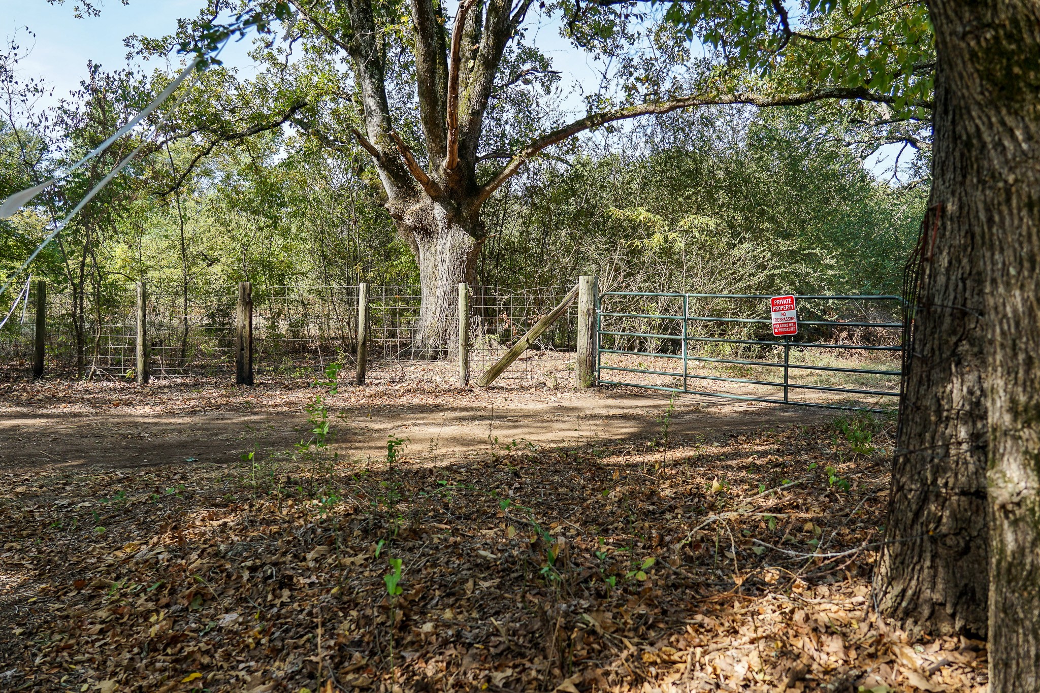Lot 1 County Rd 1584 Property Photo 8