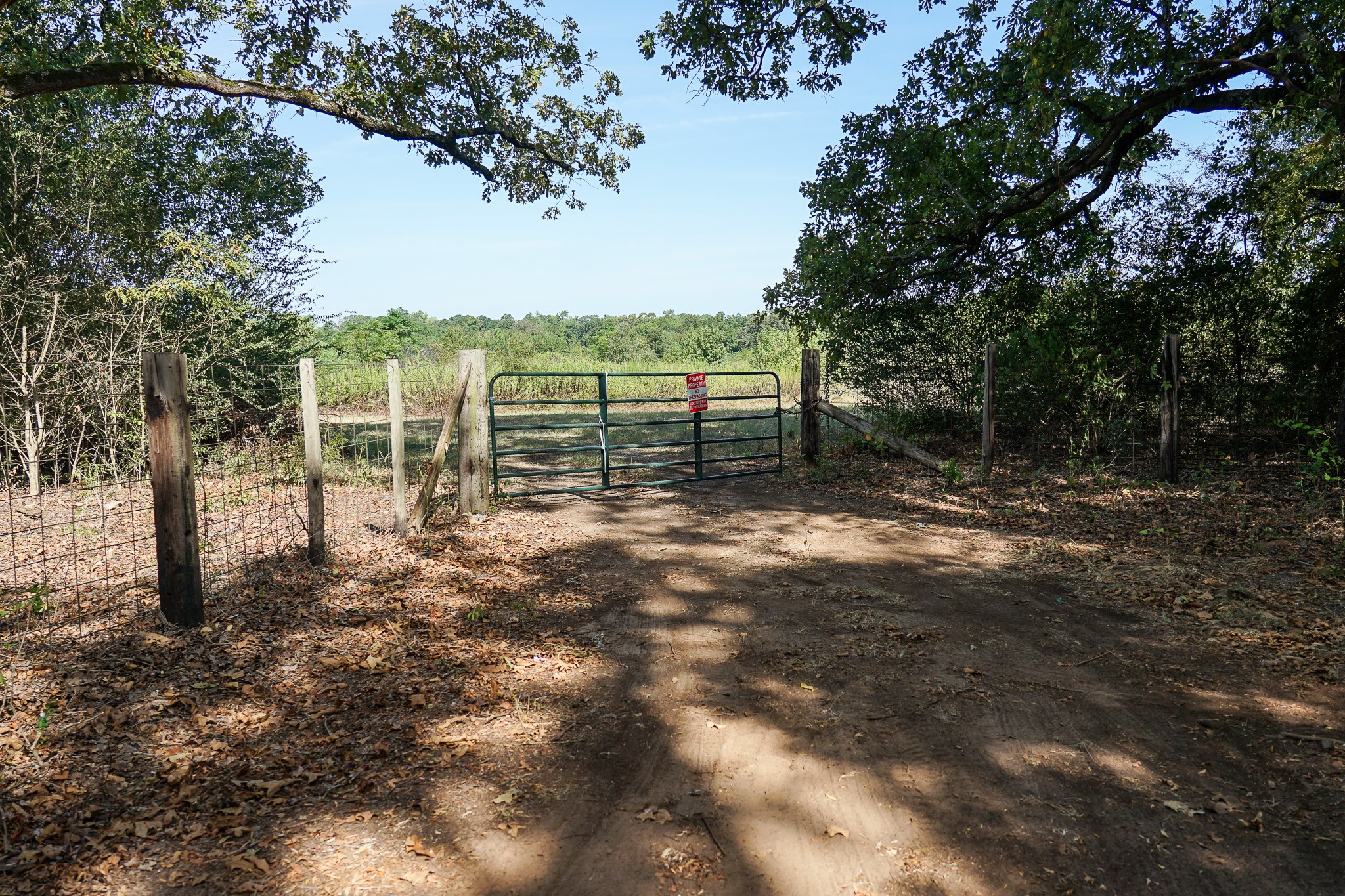 Lot 1 County Rd 1584 Property Photo 9