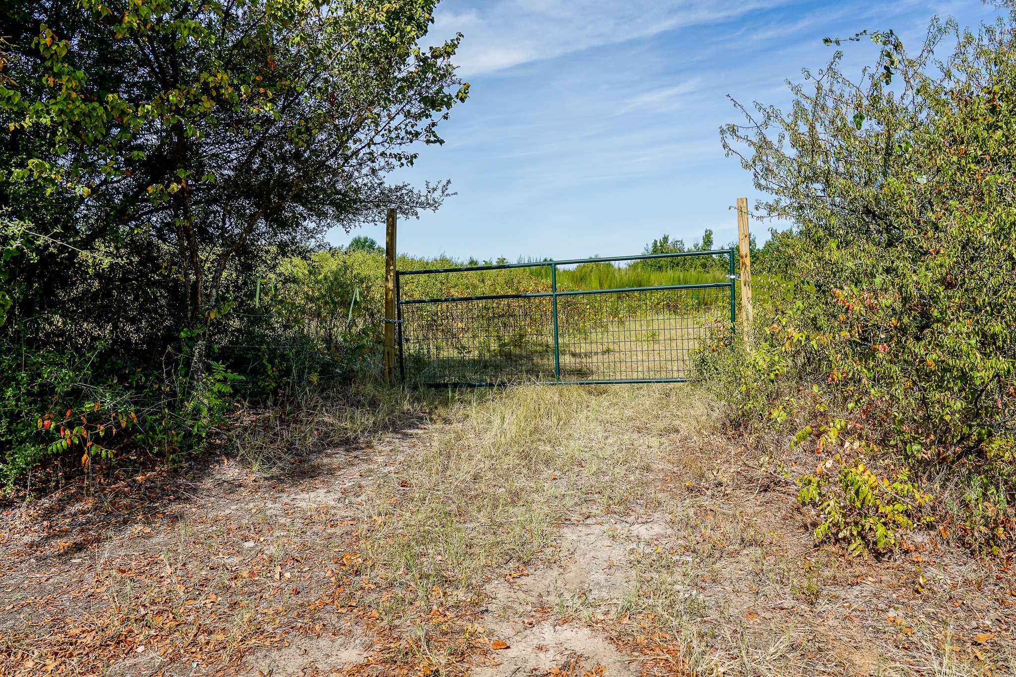 Lot 1 County Rd 1584 Property Photo 10