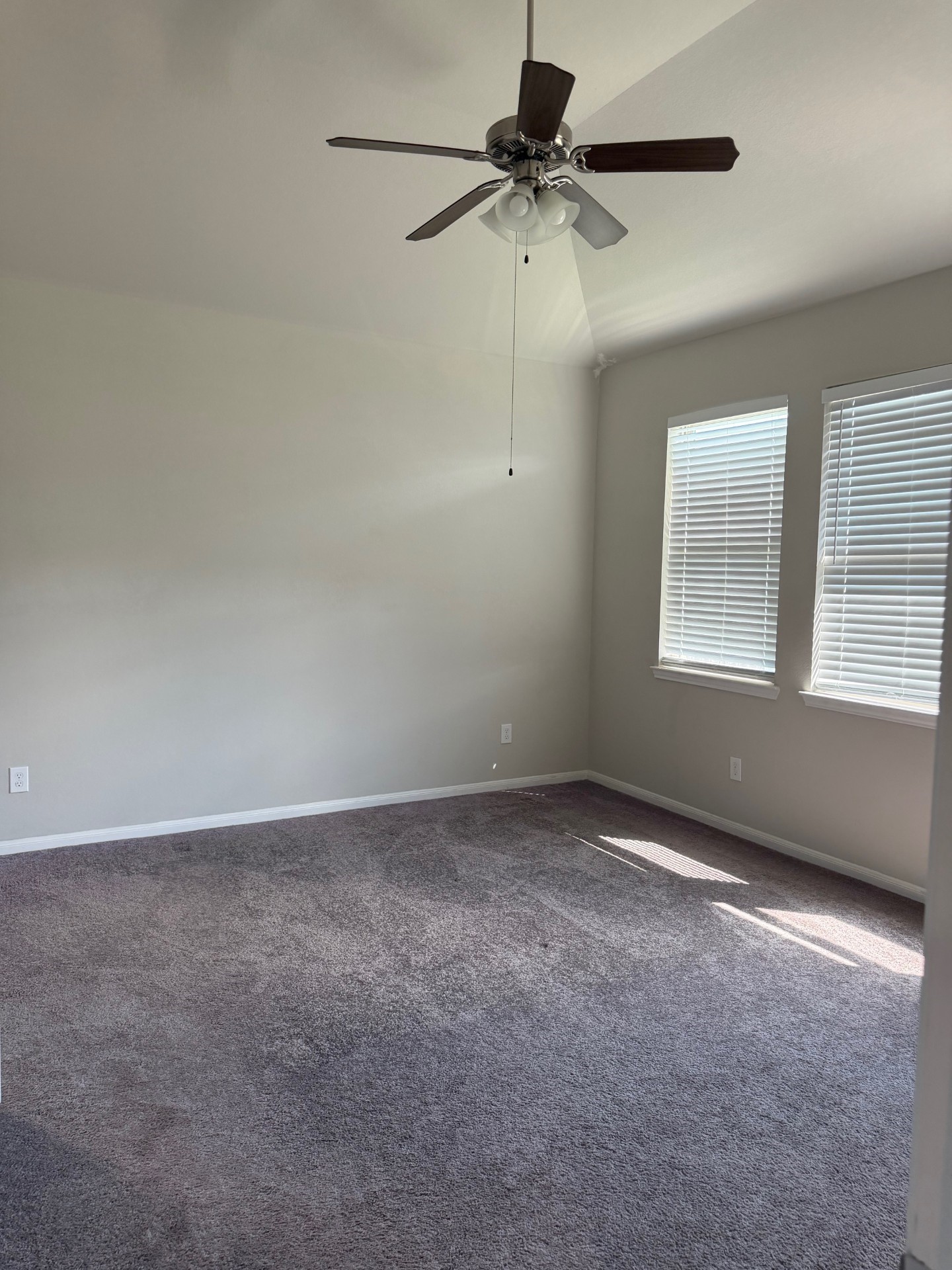 4210 Reese Ravine Lane Property Photo 22