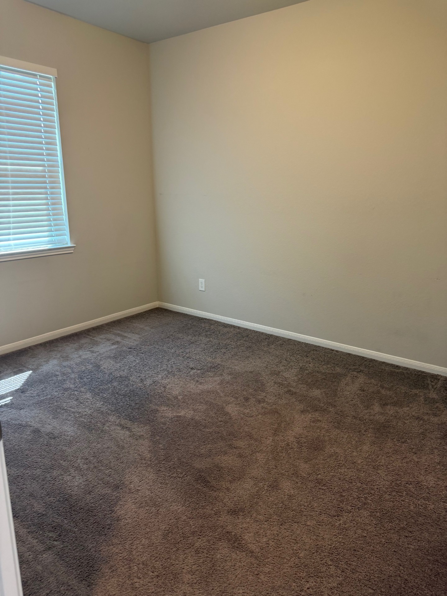 4210 Reese Ravine Lane Property Photo 25