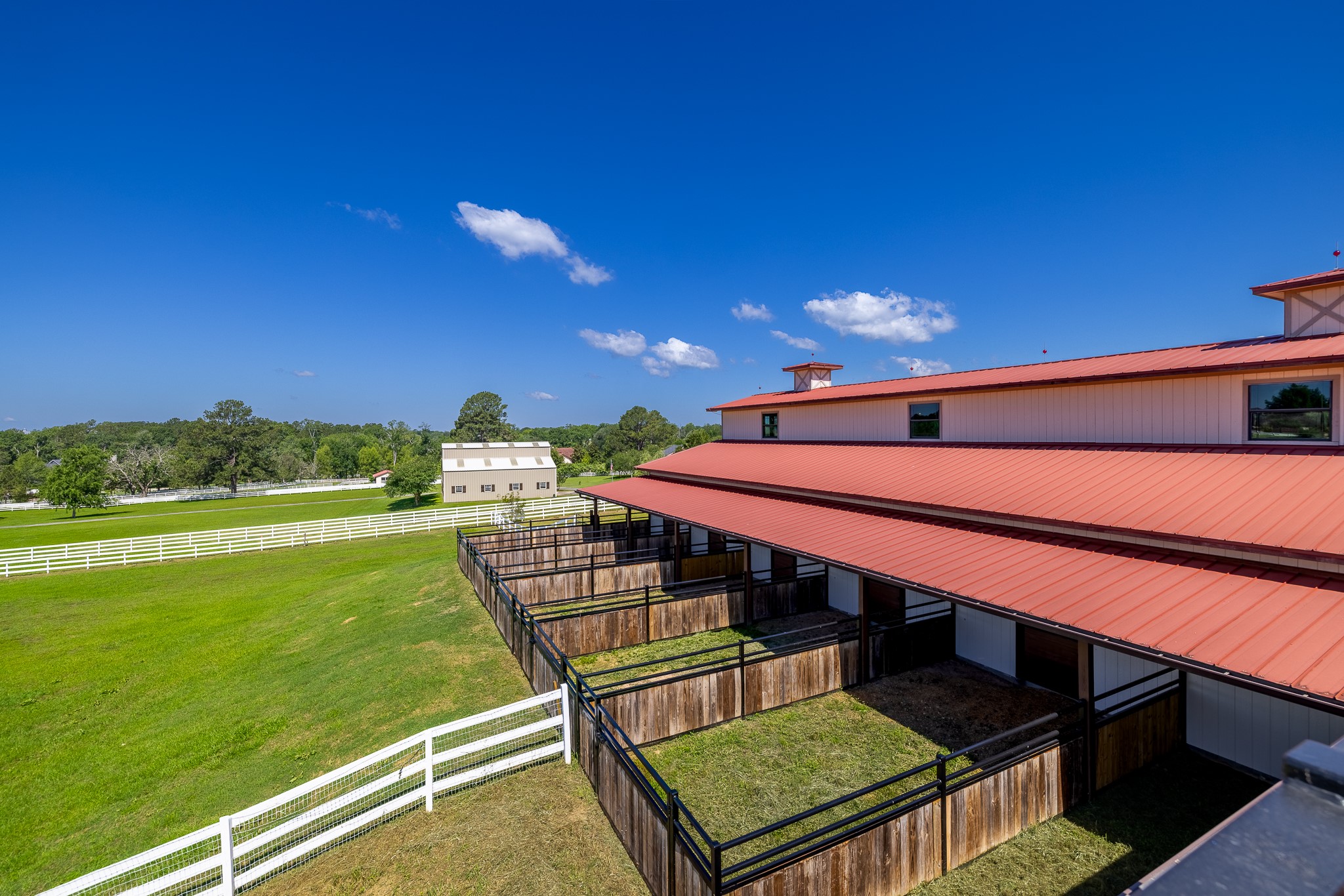 23981 Old Dobbin Plantersville Road Property Photo 26