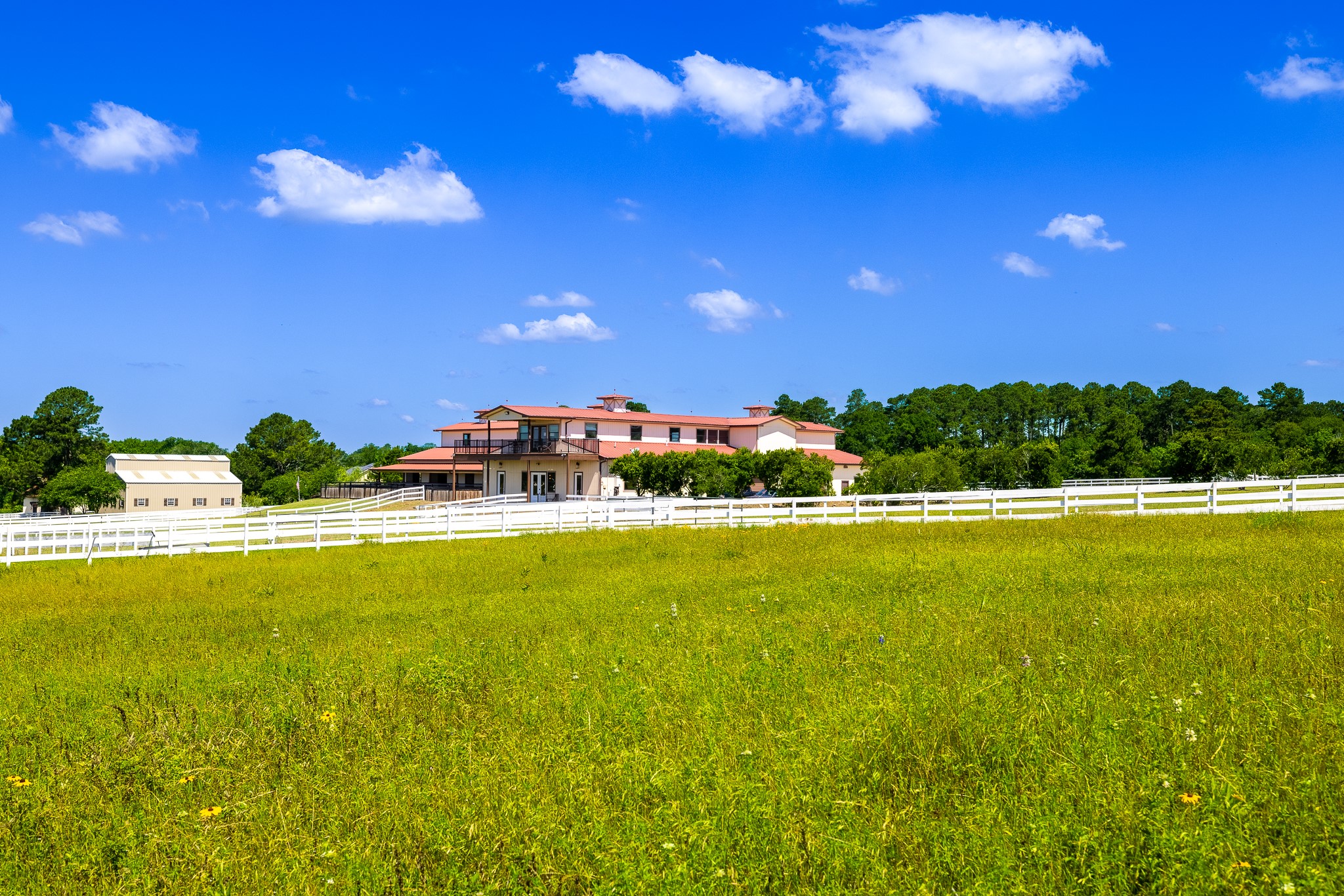 23981 Old Dobbin Plantersville Road Property Photo 40