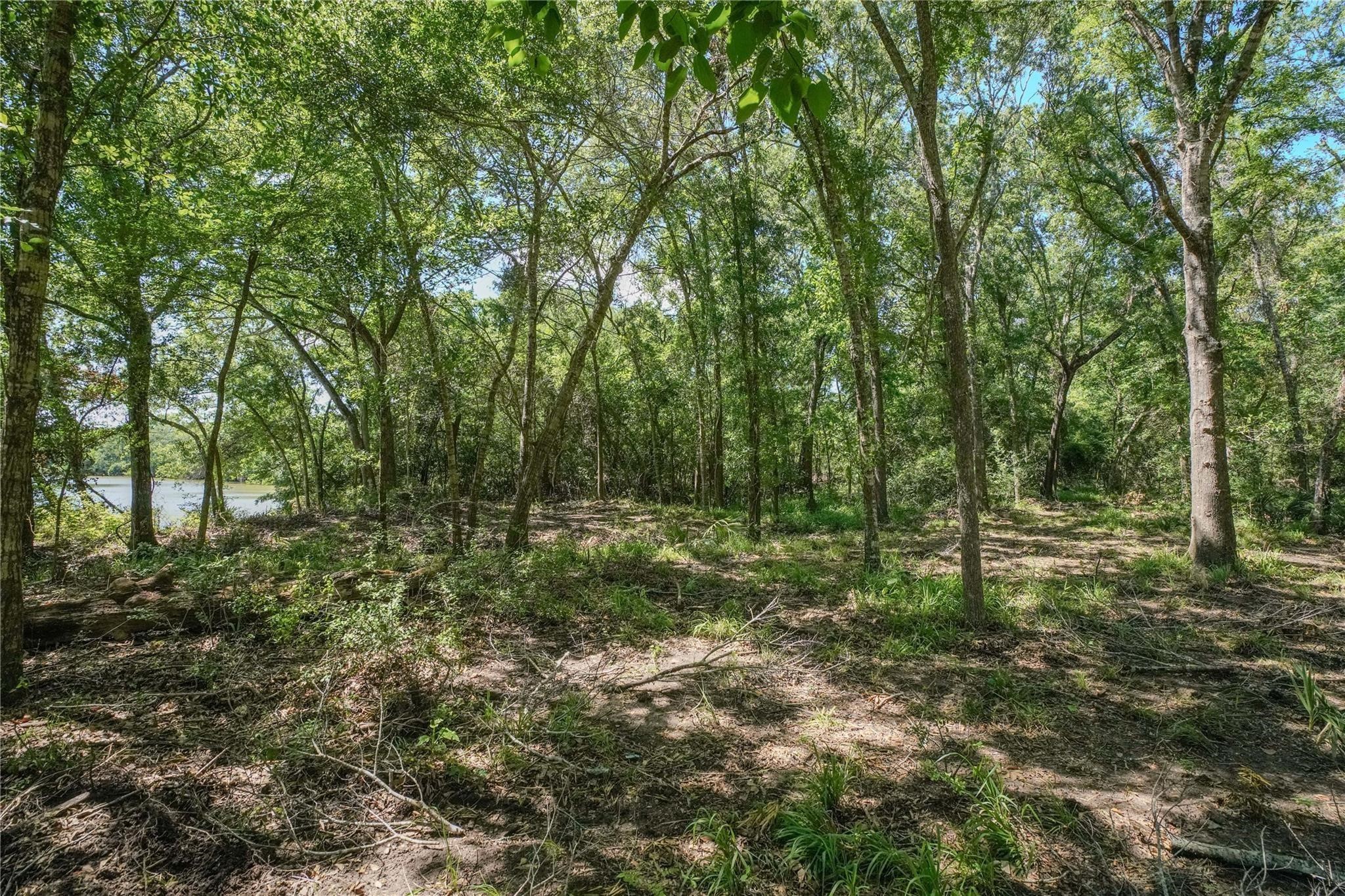 0 Riverside Property Photo 13