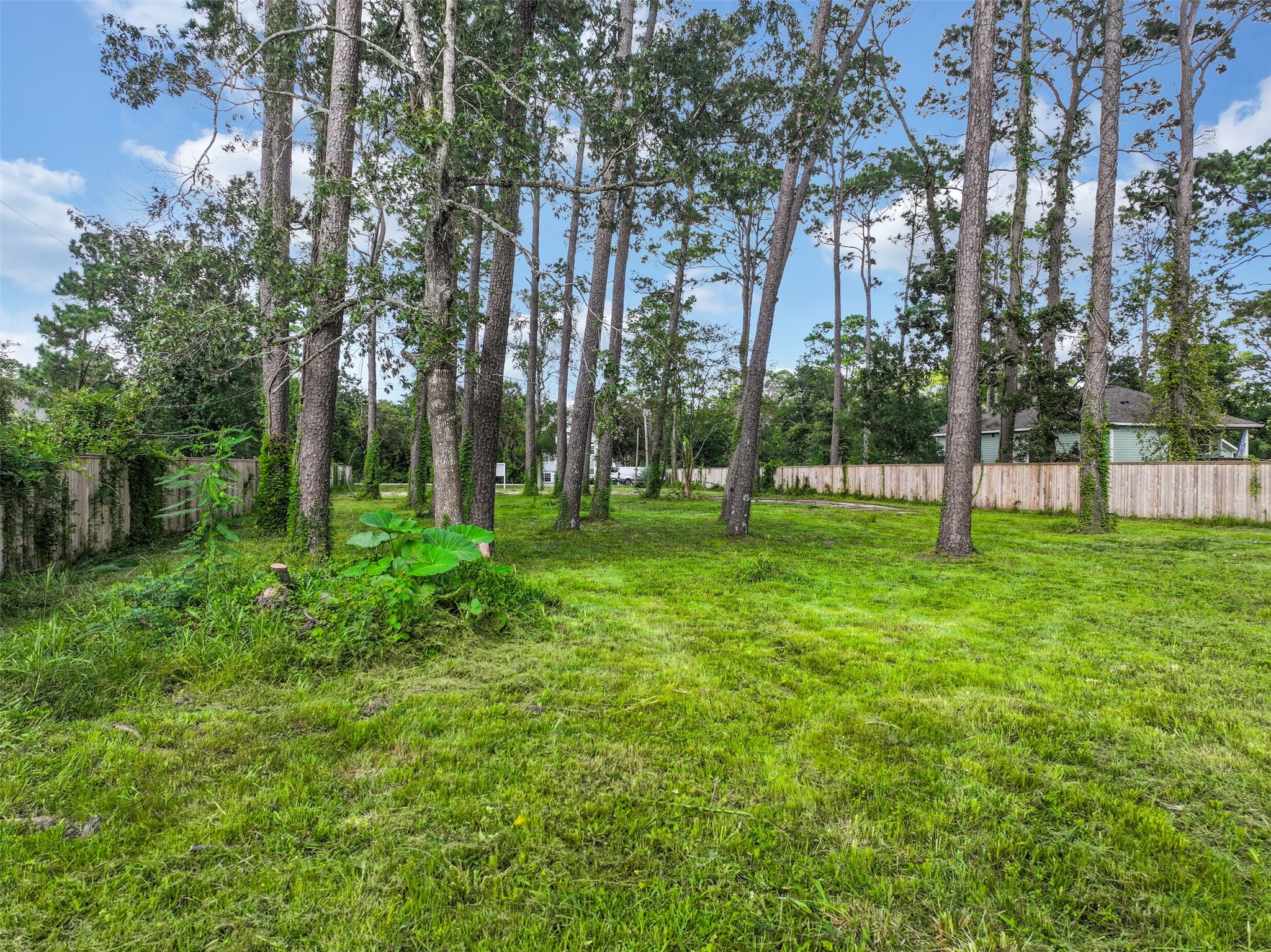 3219 Oak Drive Property Photo 4