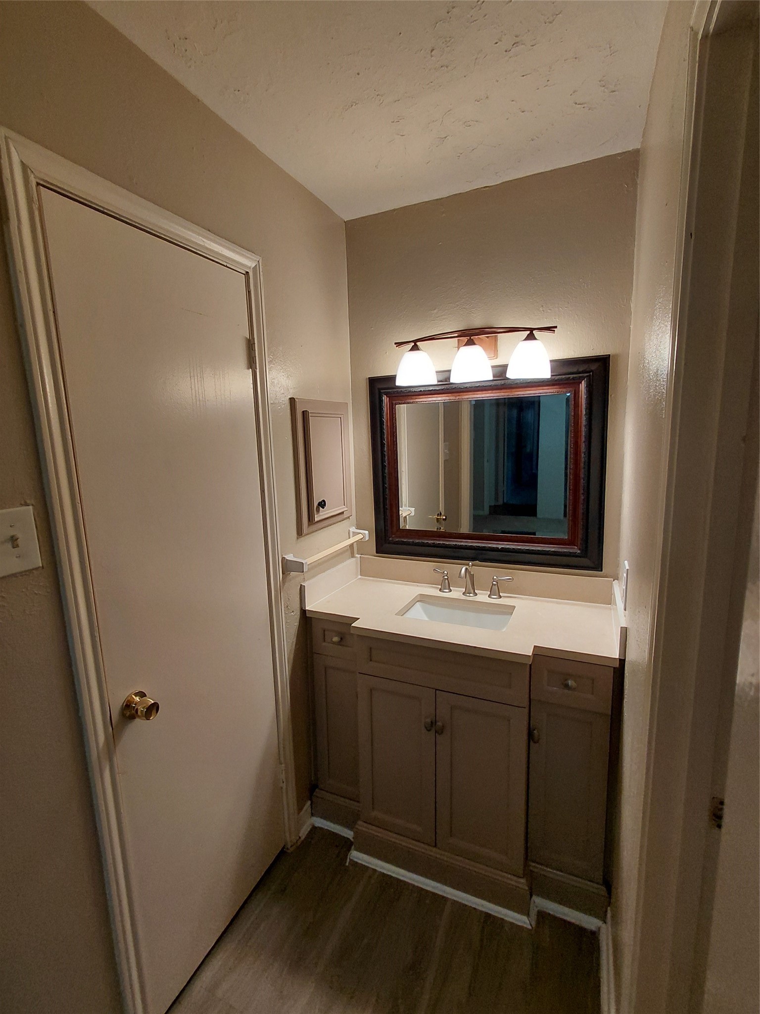 23111 Lone Wolf Trail Property Photo 13