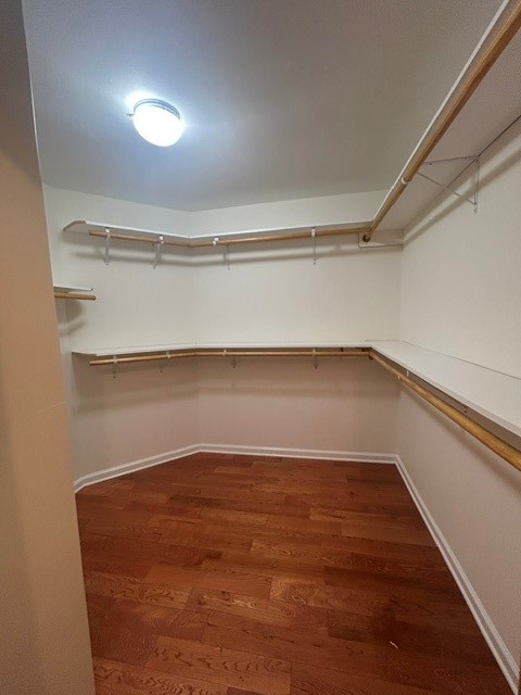 12506 Mooremeadow Lane Property Photo 16