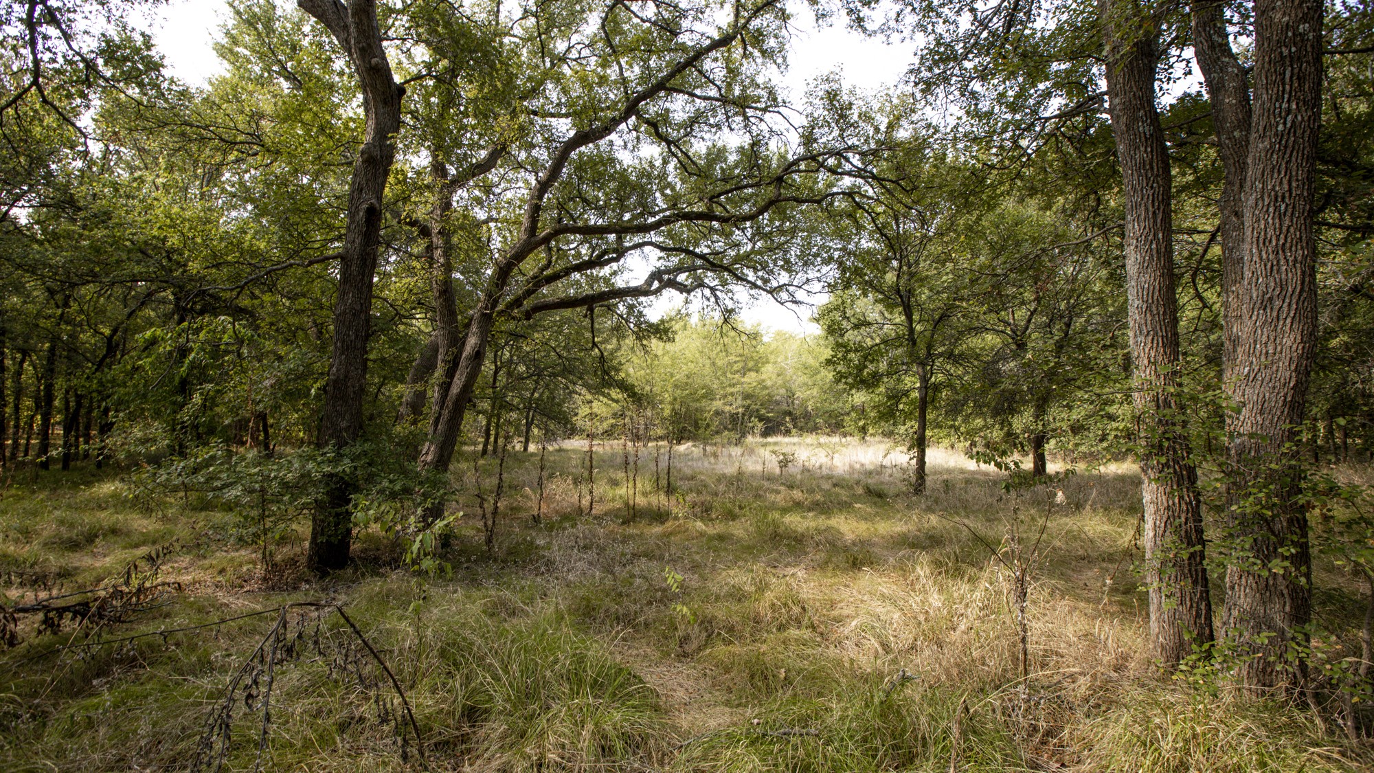 4849 J R Court Property Photo 15