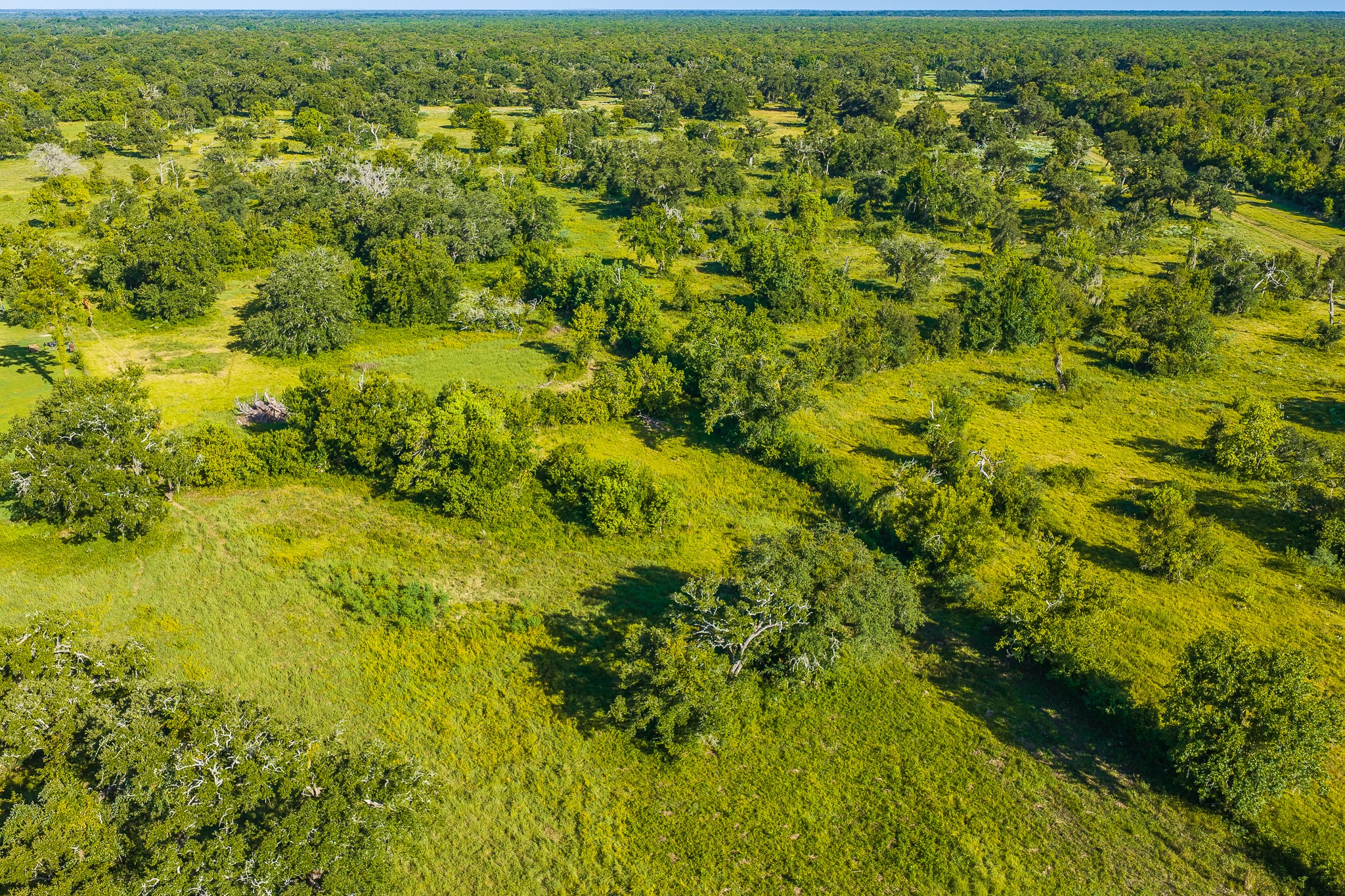 19329 Cr 319 Property Photo 42