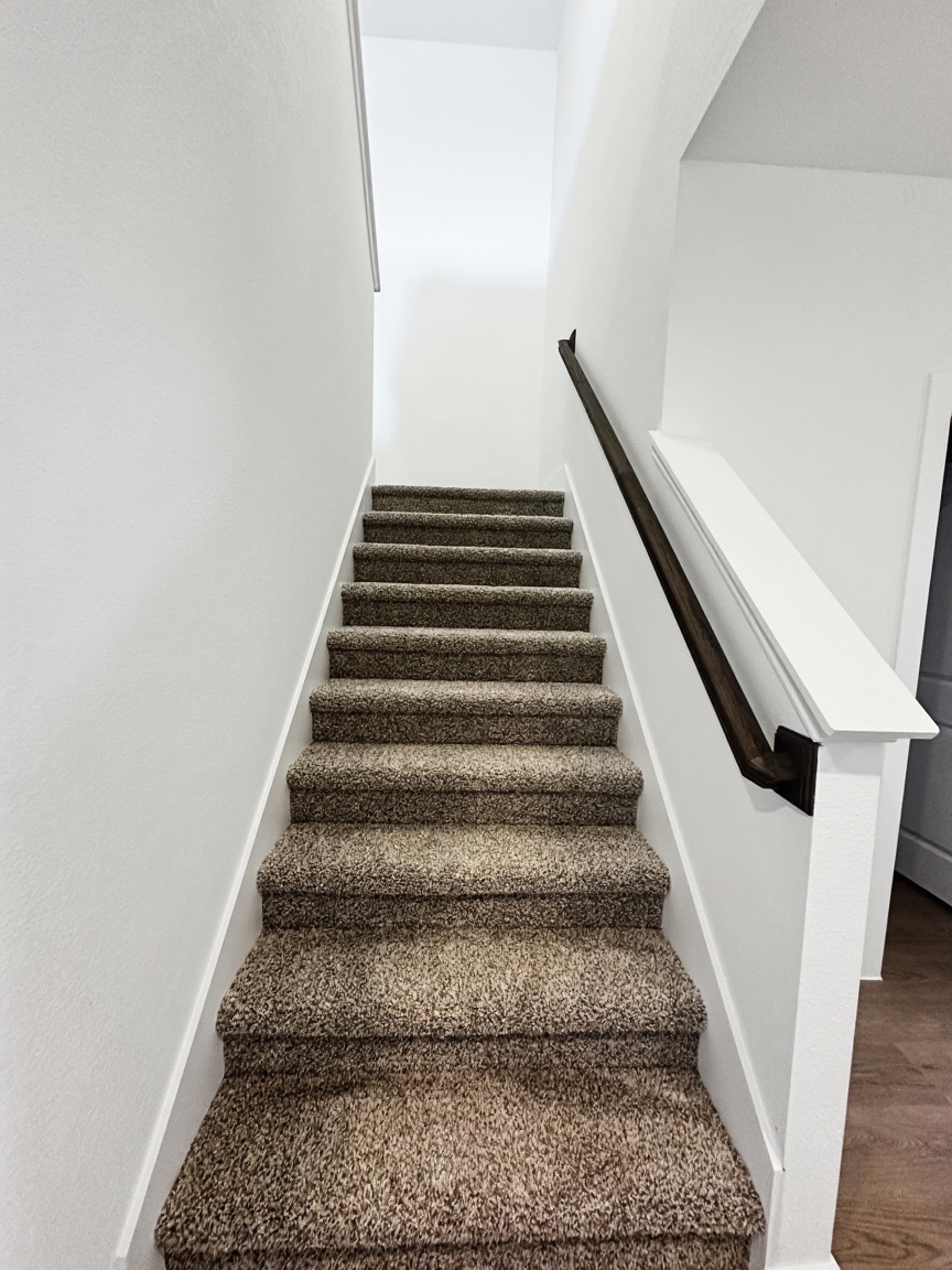 13902 Bay Crest Drive Property Photo 5