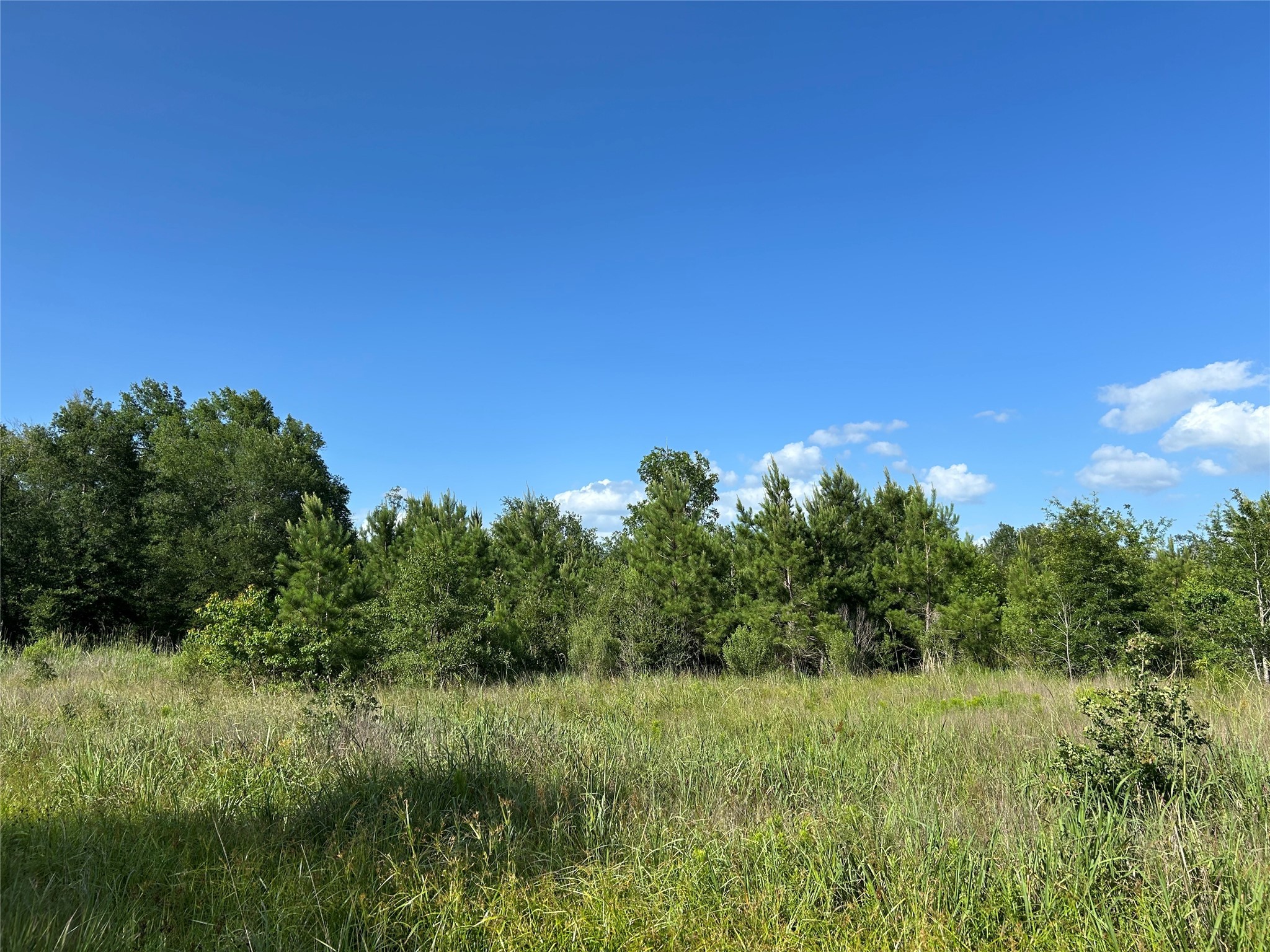 Tract 35 Fm 230 Property Photo 1