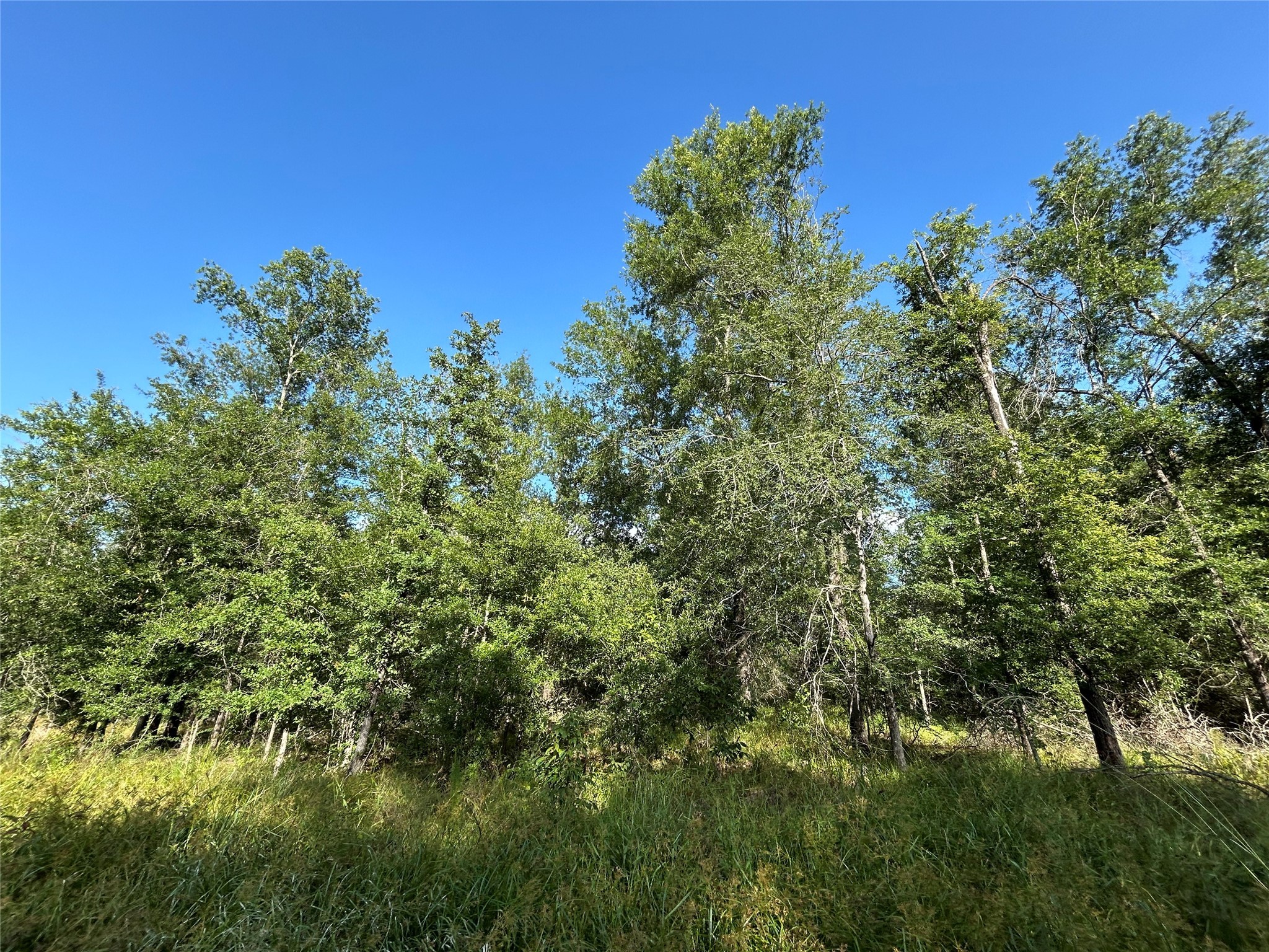 Tract 35 Fm 230 Property Photo 2