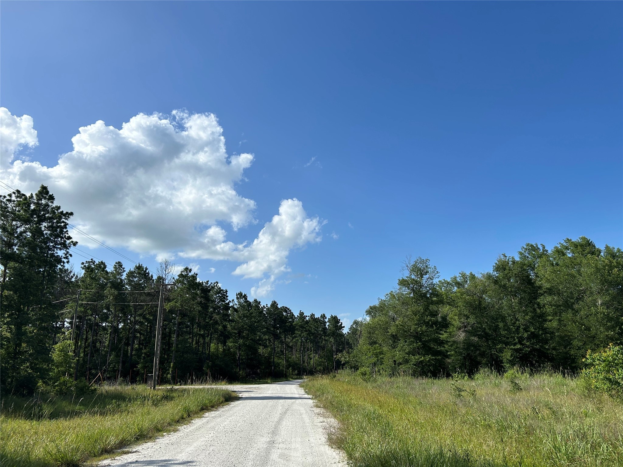 Tract 35 Fm 230 Property Photo 3