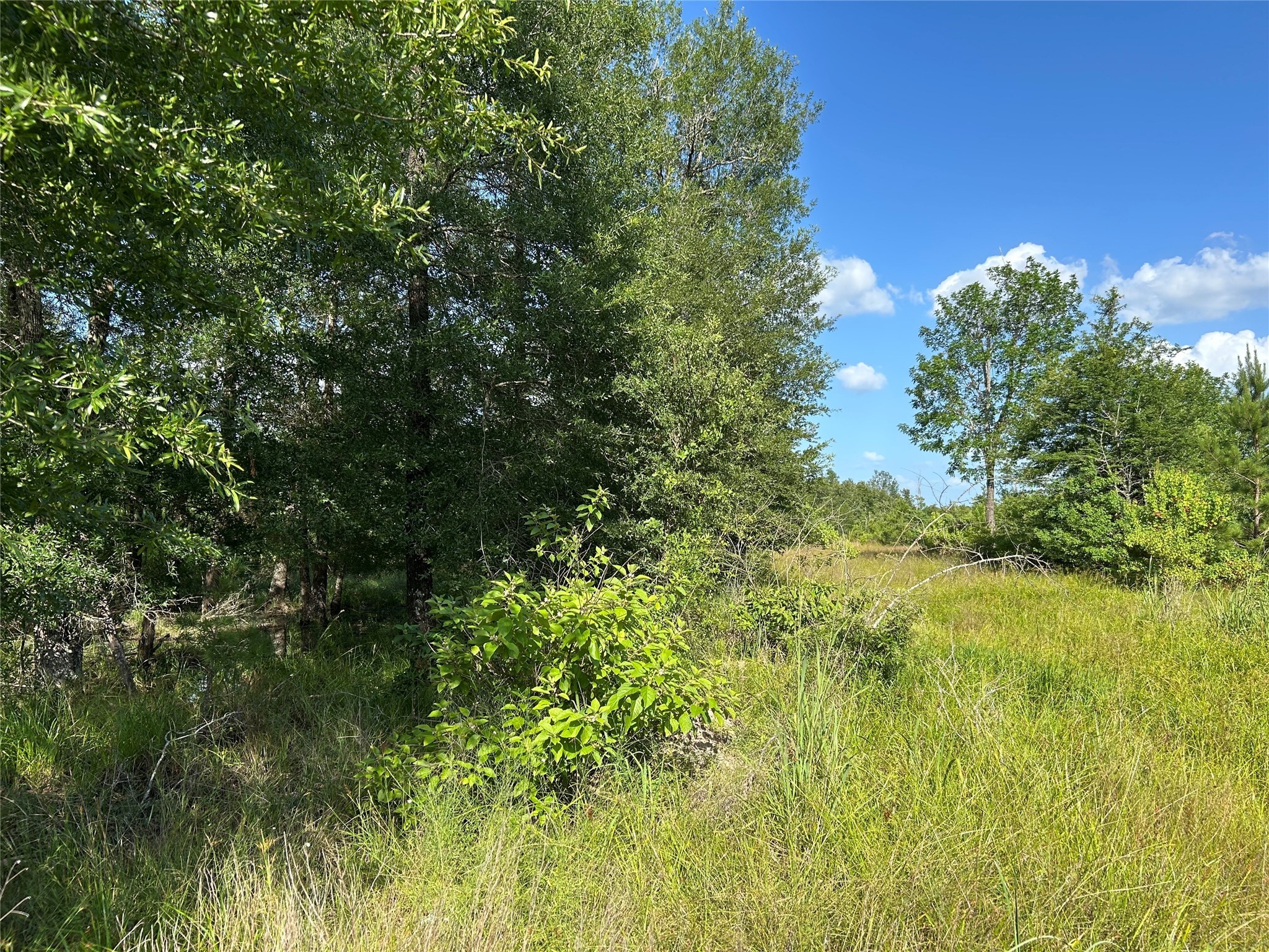 Tract 35 Fm 230 Property Photo 4