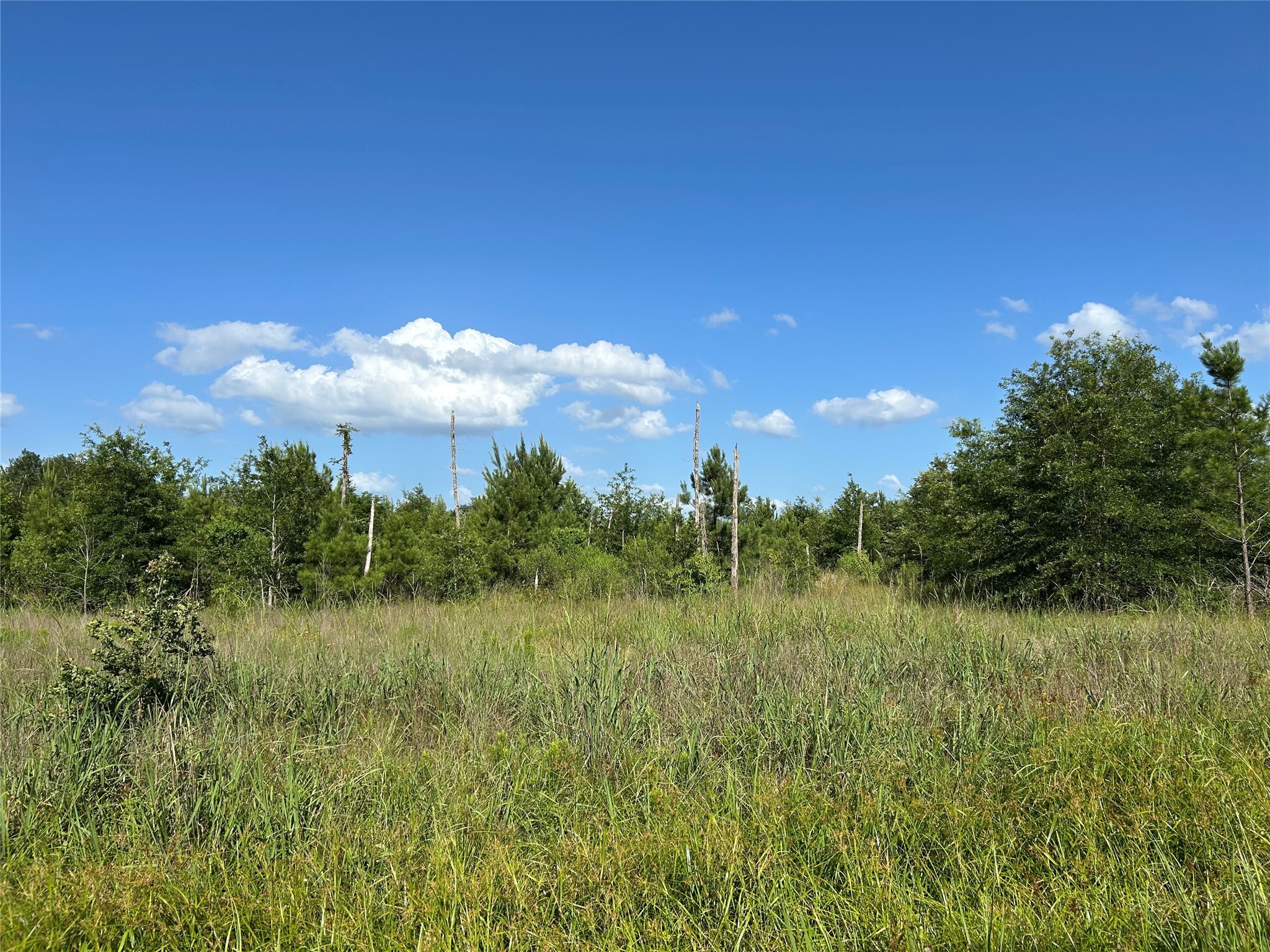 Tract 35 Fm 230 Property Photo 5