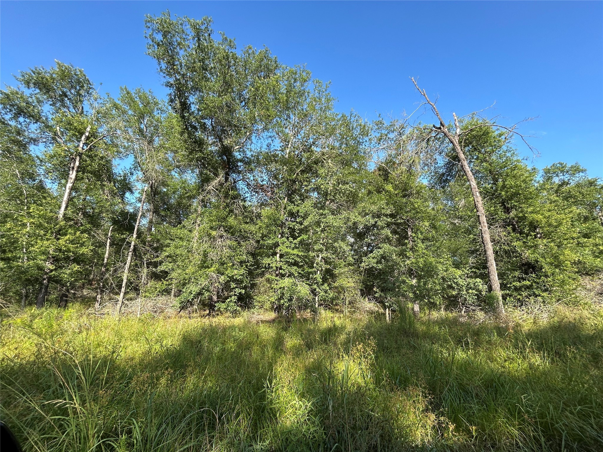 Tract 35 Fm 230 Property Photo 6