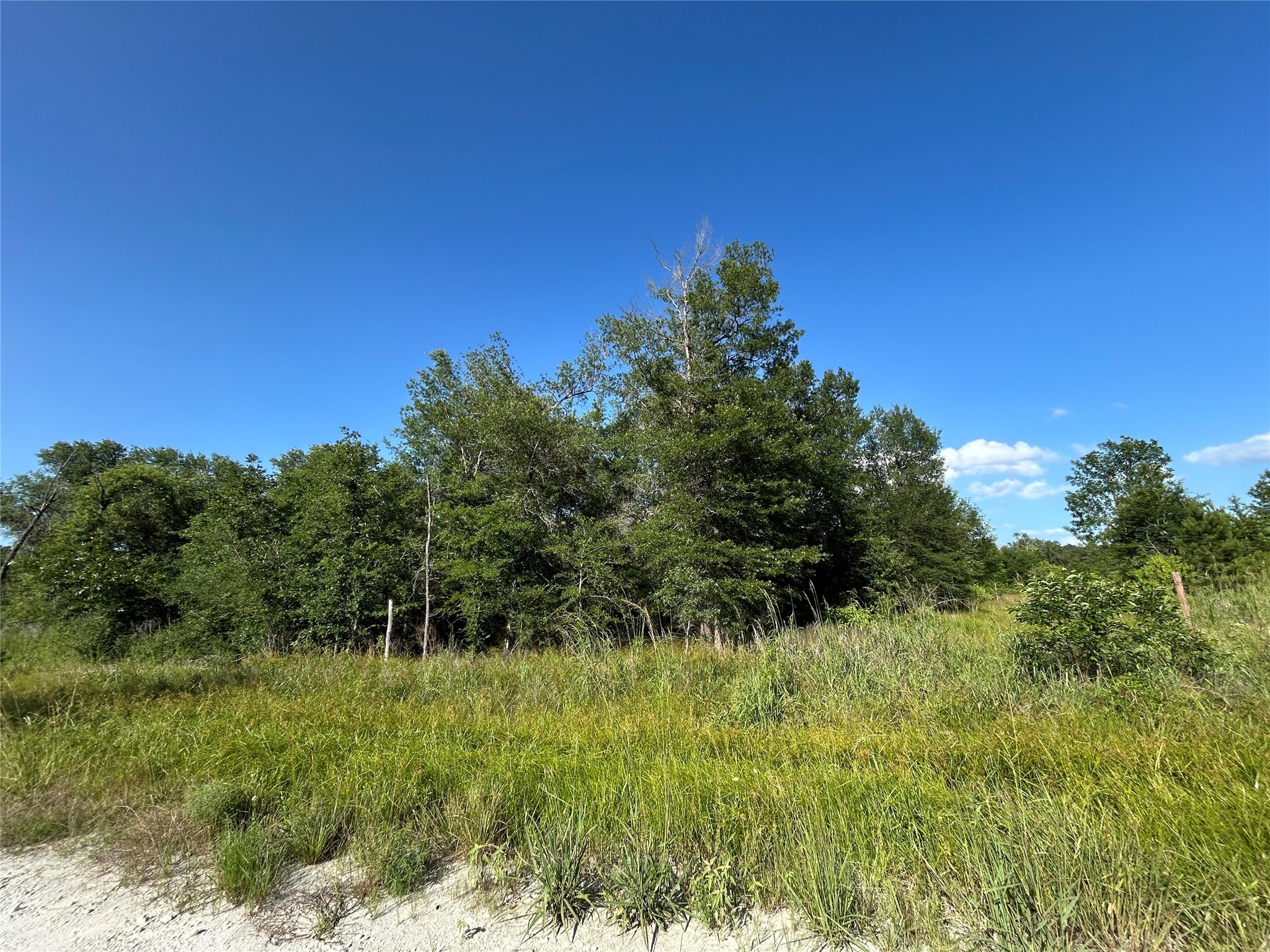 Tract 35 Fm 230 Property Photo 7
