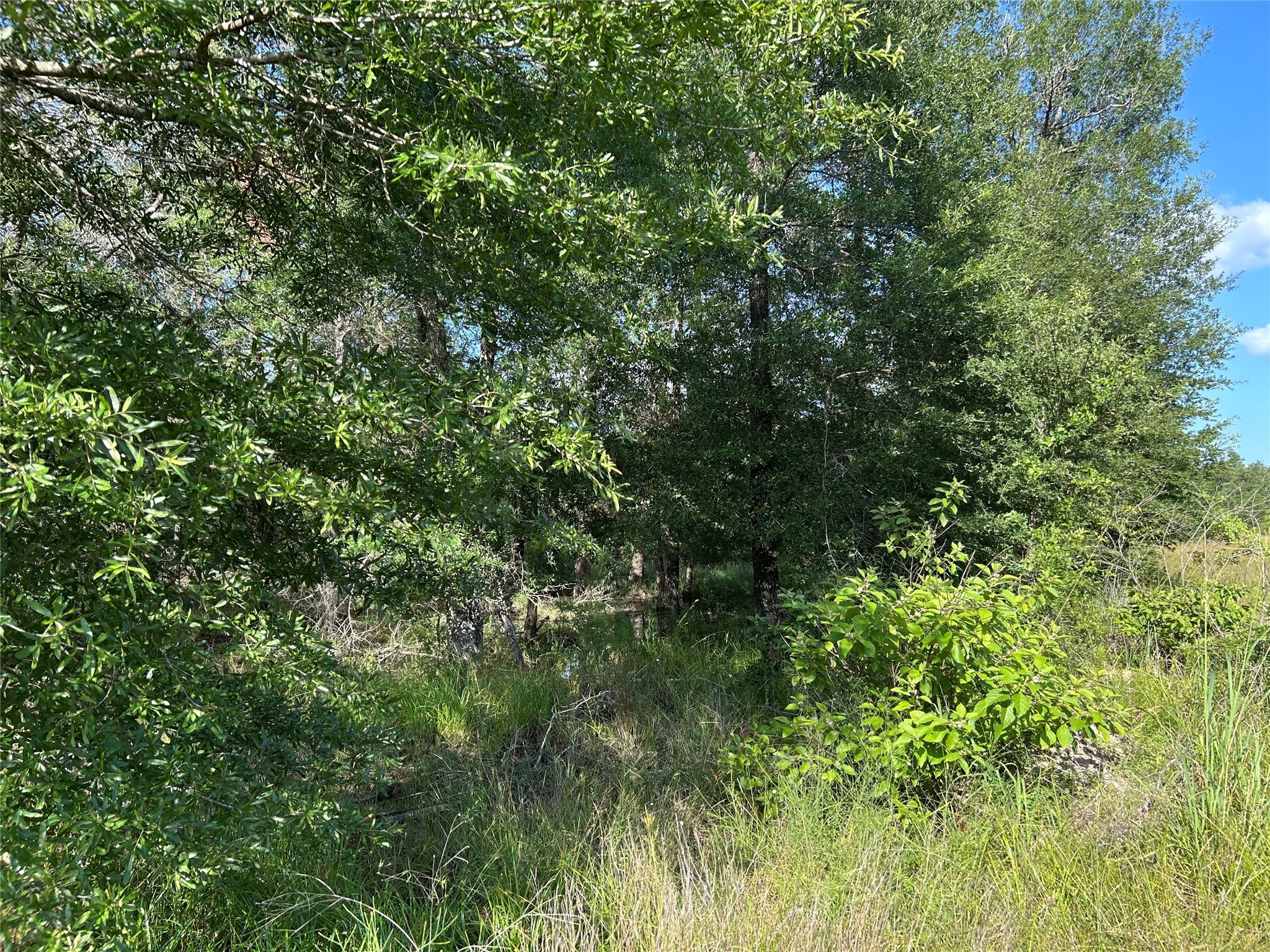 Tract 35 Fm 230 Property Photo 8