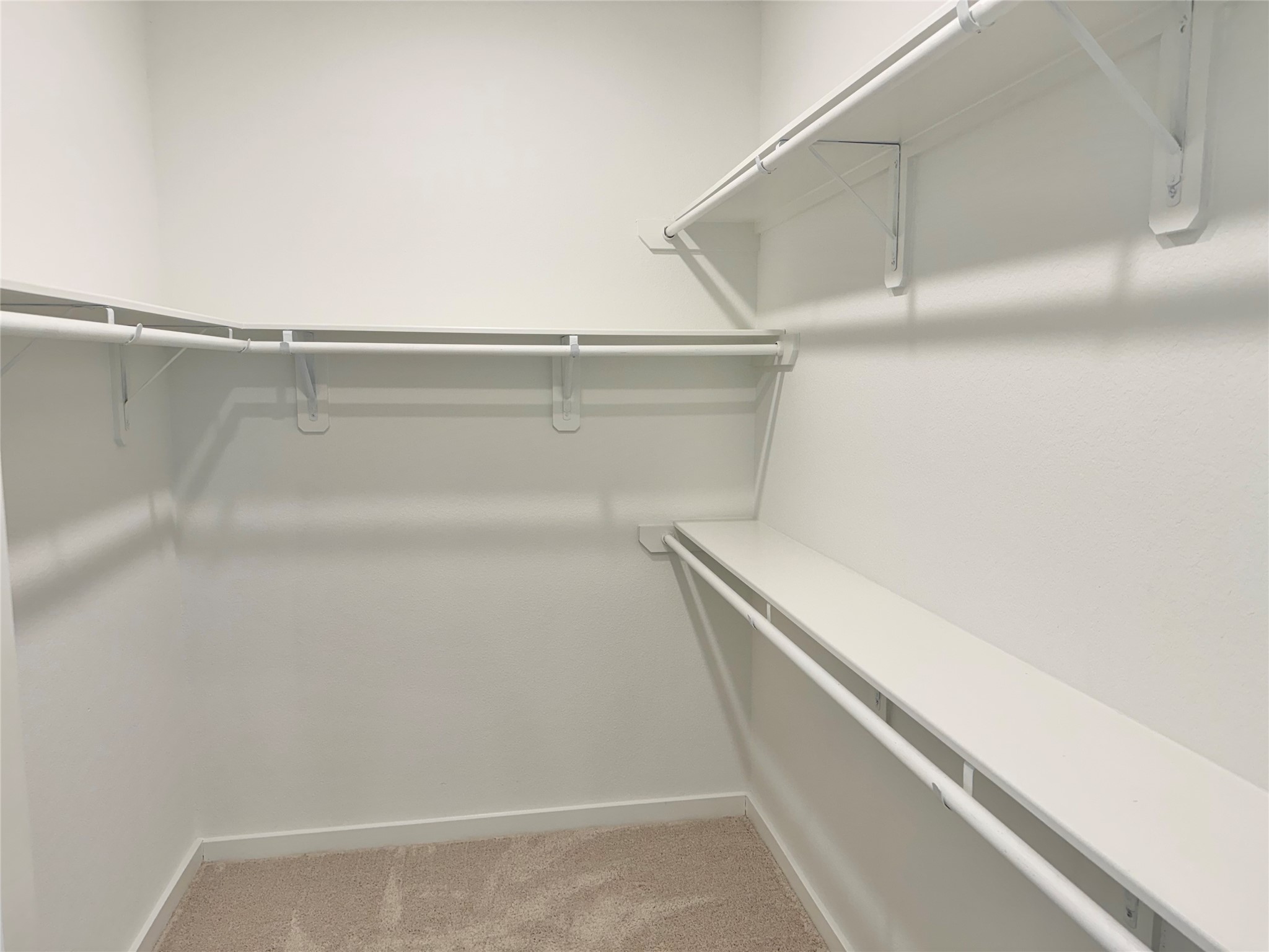 13125 Cobalt Cove Court Property Photo 10