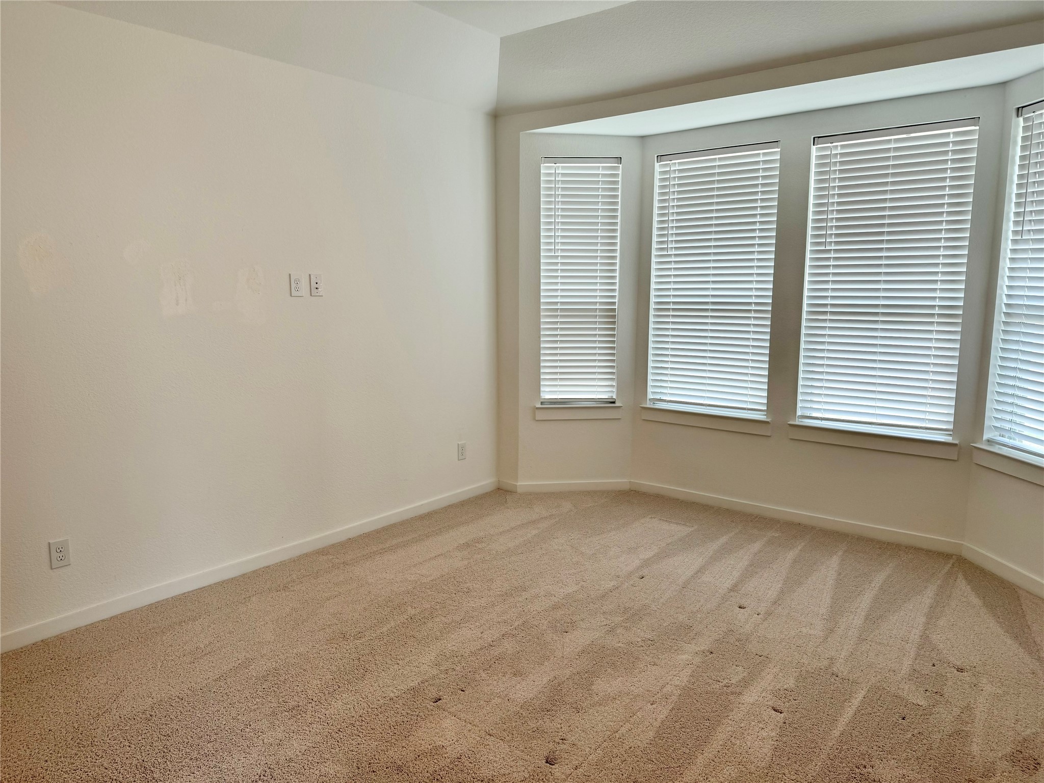 13125 Cobalt Cove Court Property Photo 12