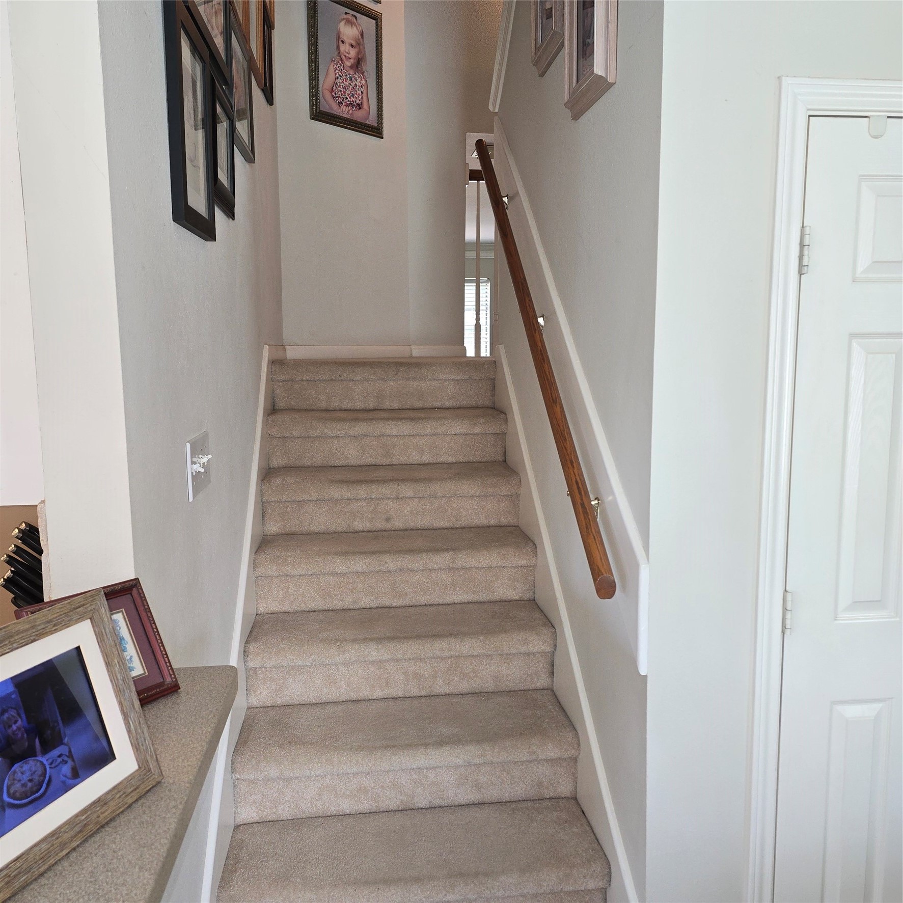 2431 Oyster Loop Drive Property Photo 22