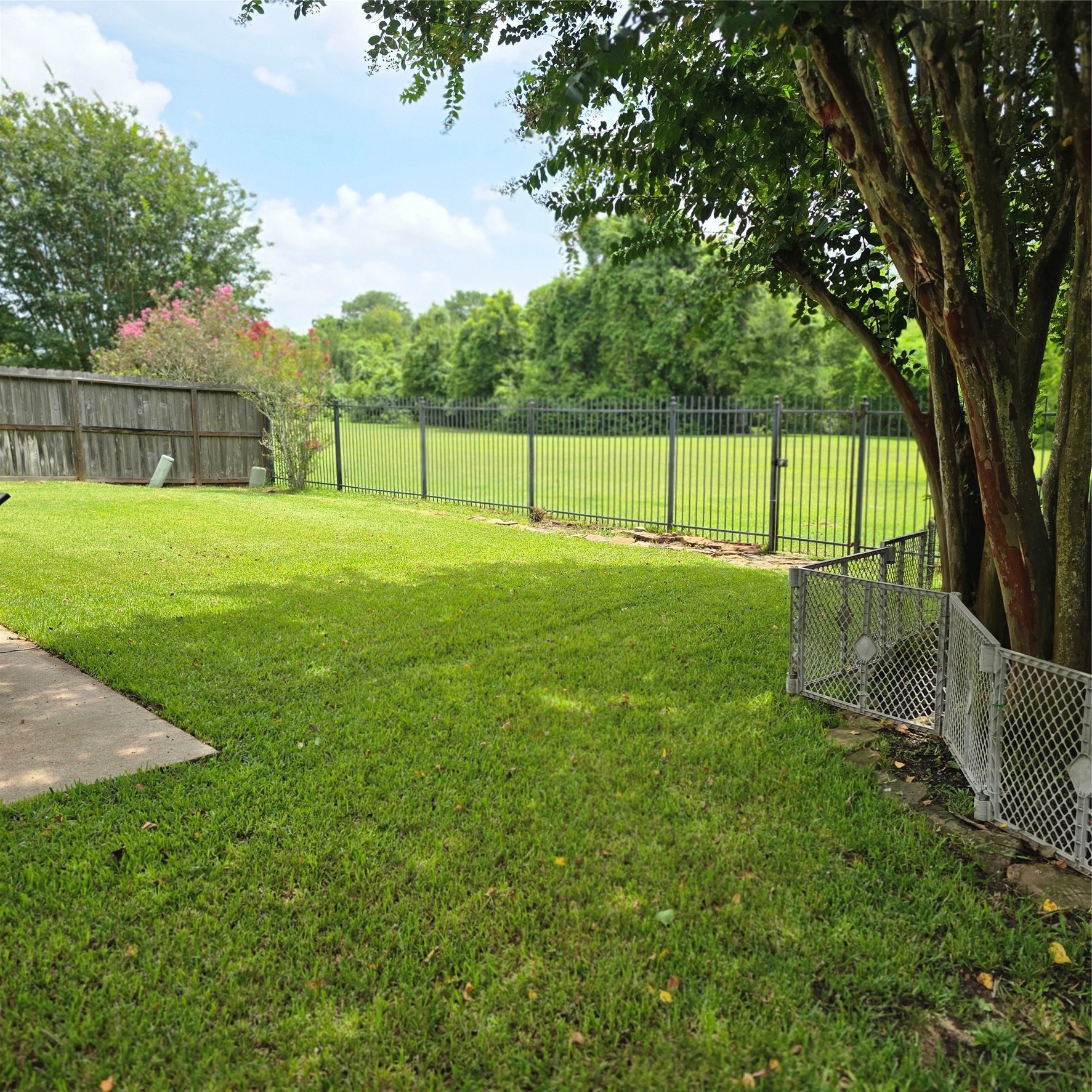 2431 Oyster Loop Drive Property Photo 32