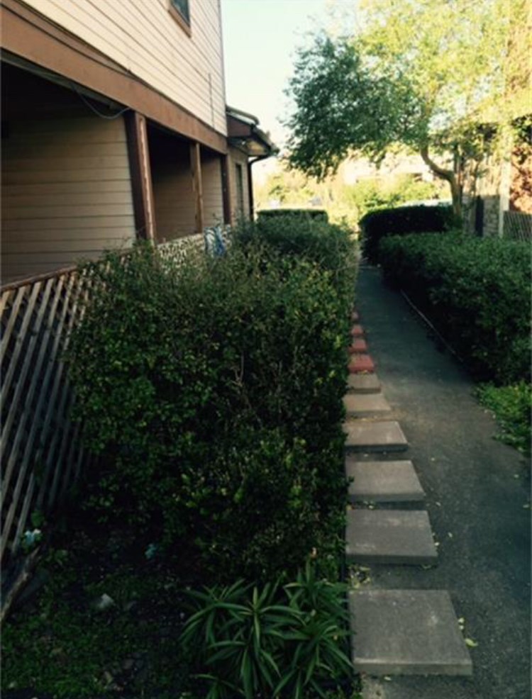 9711 Pine Pass Drive B Property Photo 2