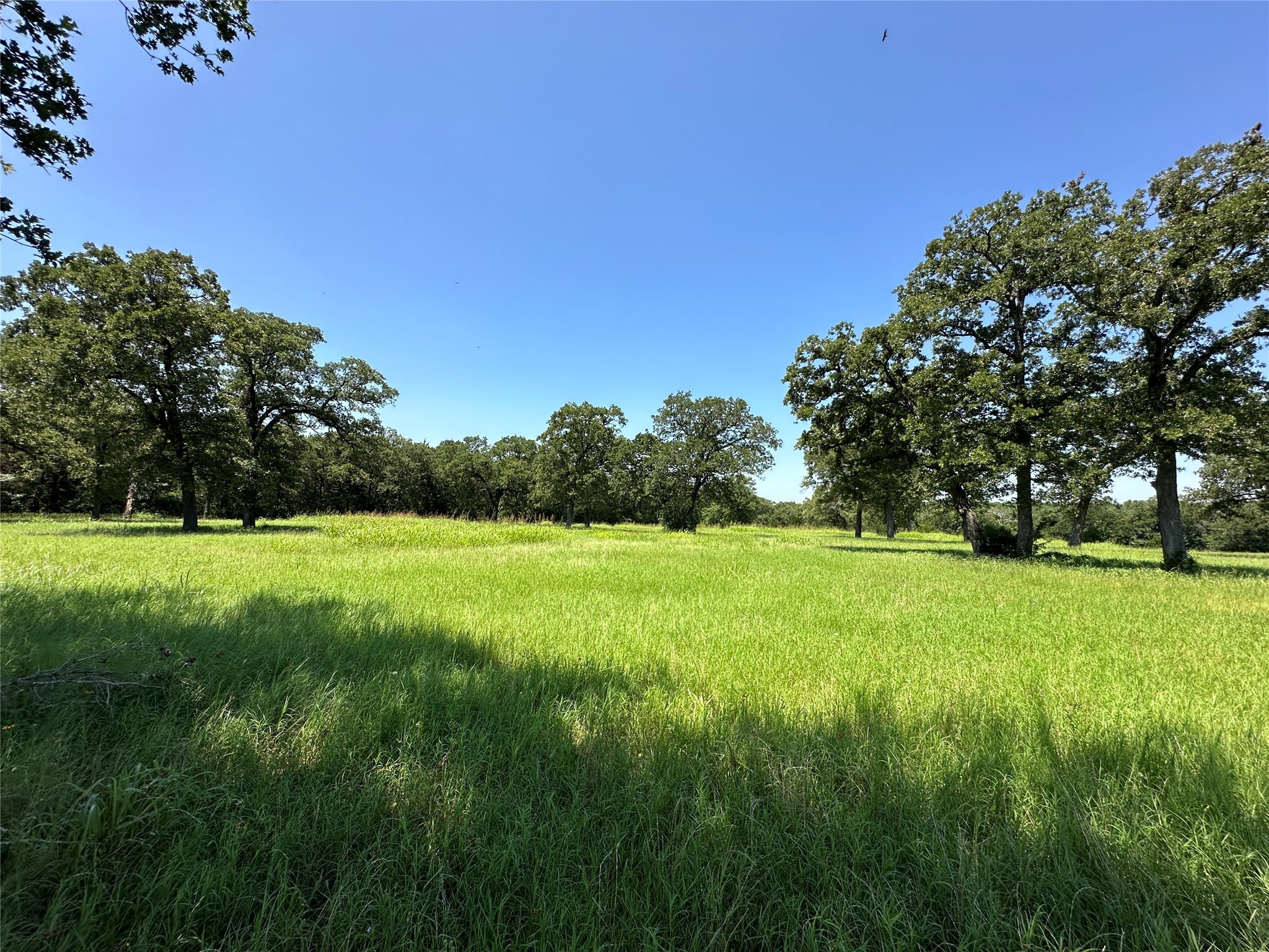 Tbd Tract 1 Fm 2547 Property Photo
