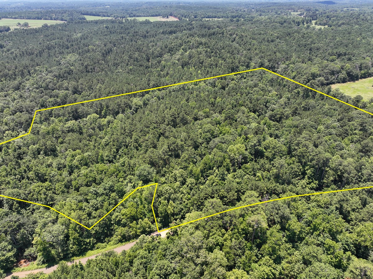 2 Lick Skillet Road Property Photo 1