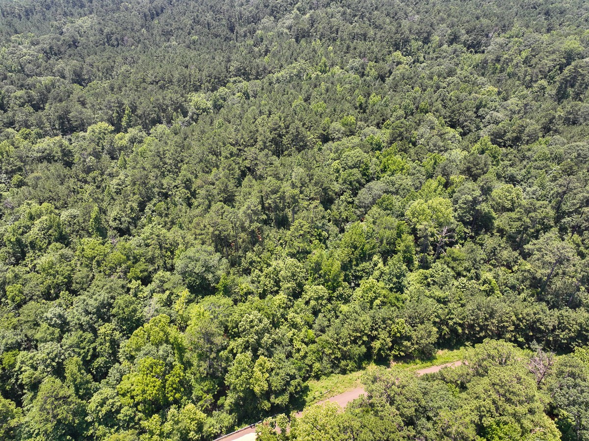2 Lick Skillet Road Property Photo 3