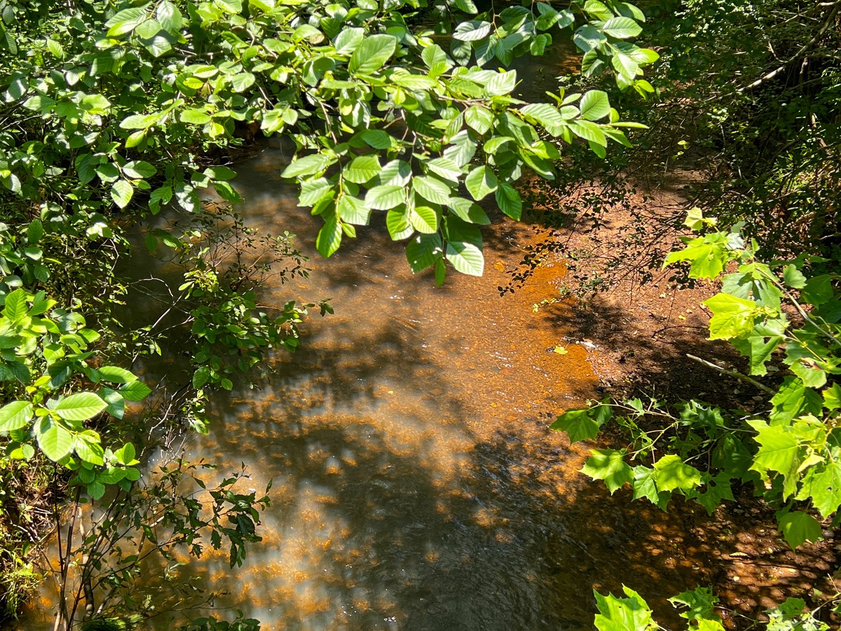 2 Lick Skillet Road Property Photo 8