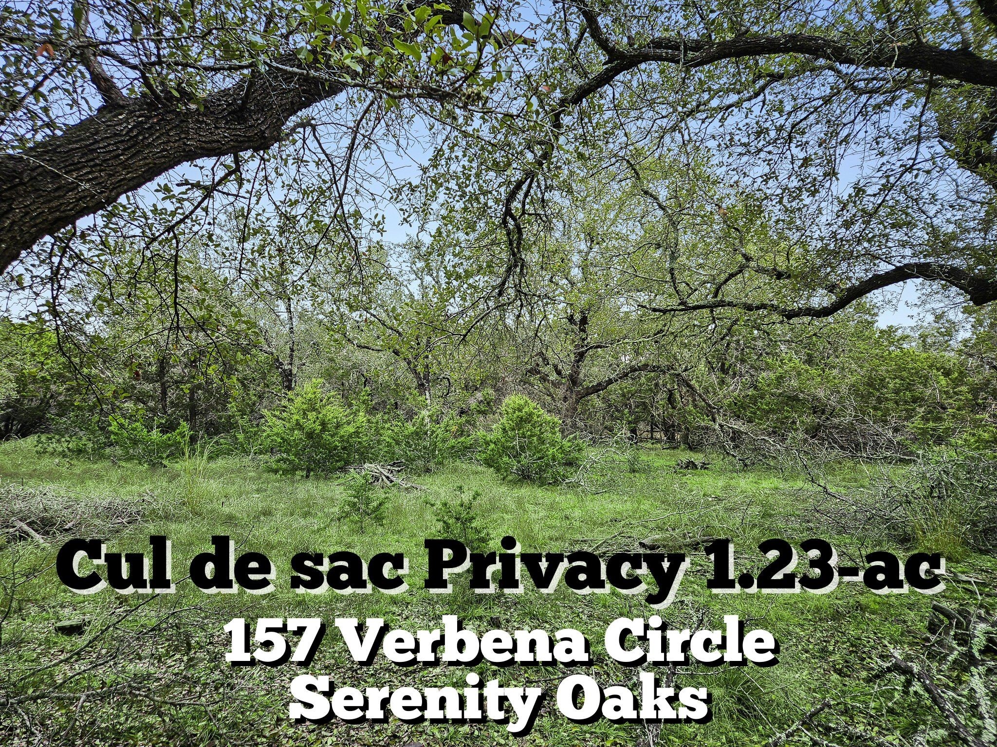 157 Verbena Circle Property Photo 1
