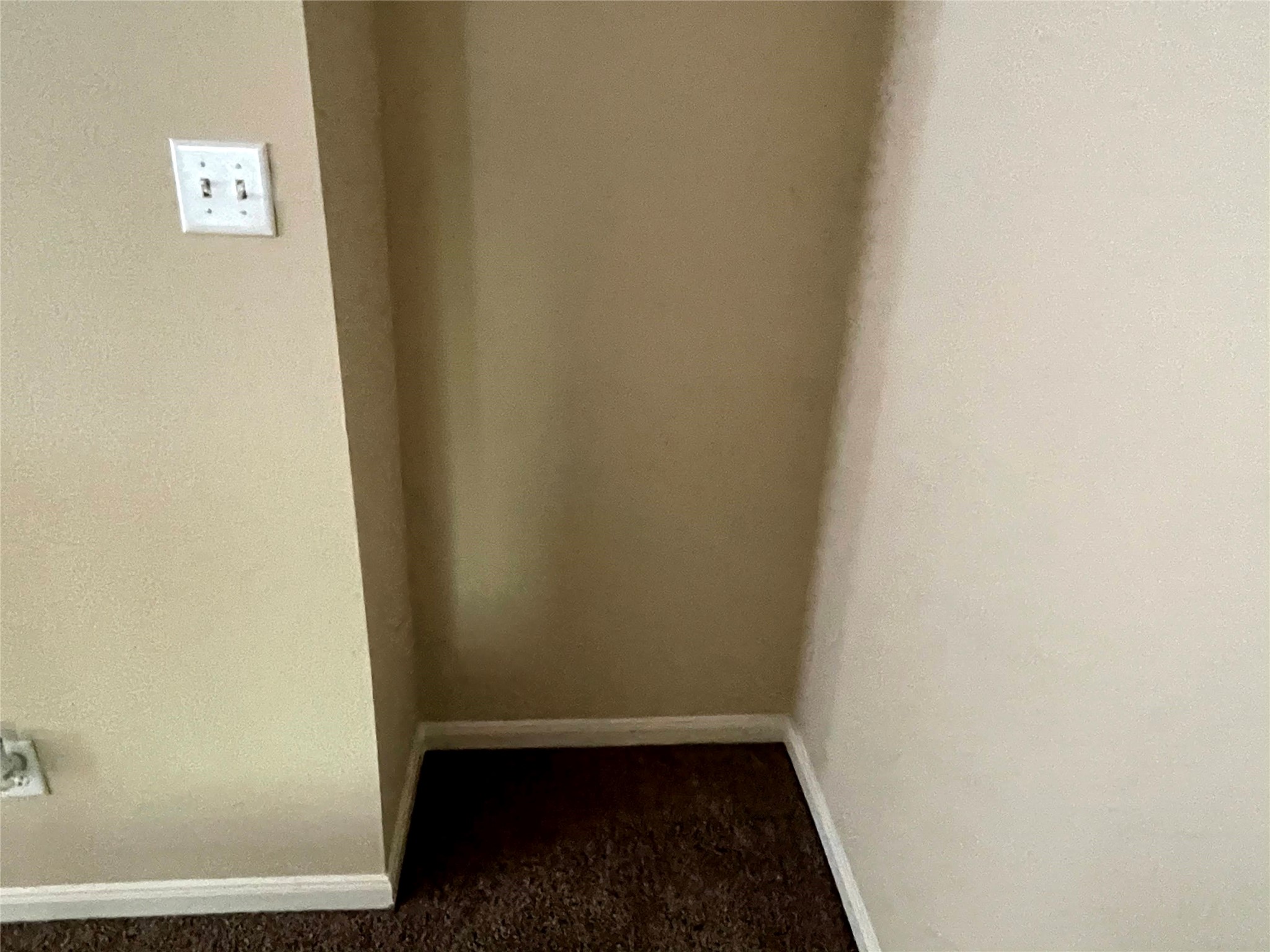 29618 Evergreen Hills Drive Property Photo 18
