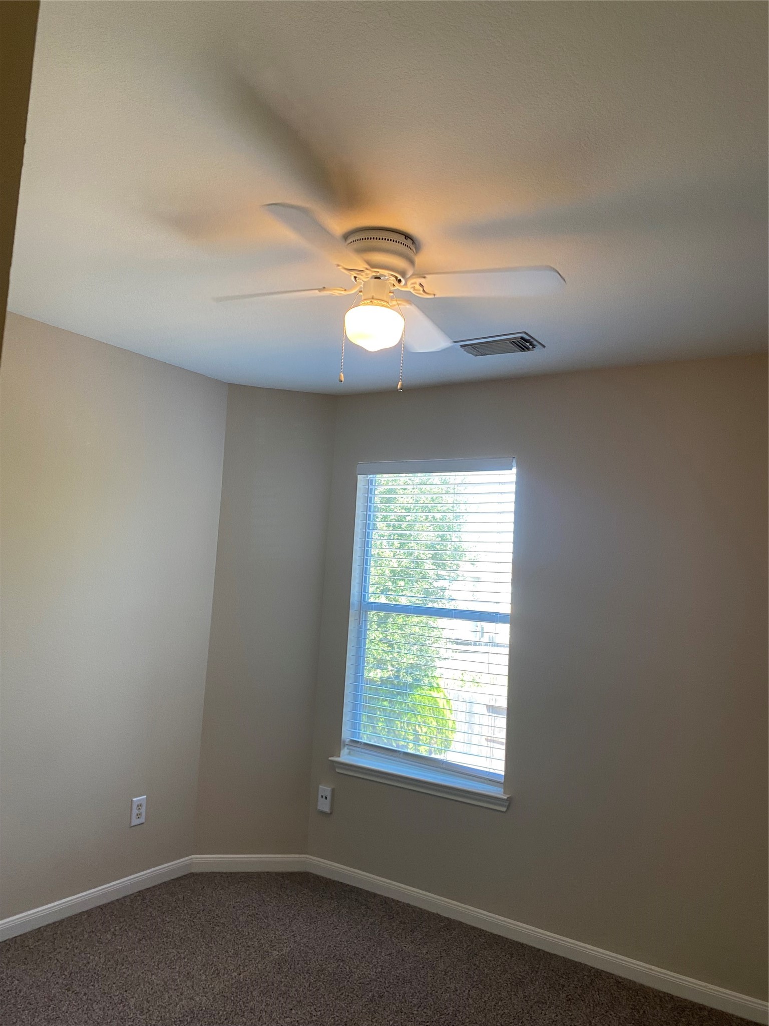 29618 Evergreen Hills Drive Property Photo 20