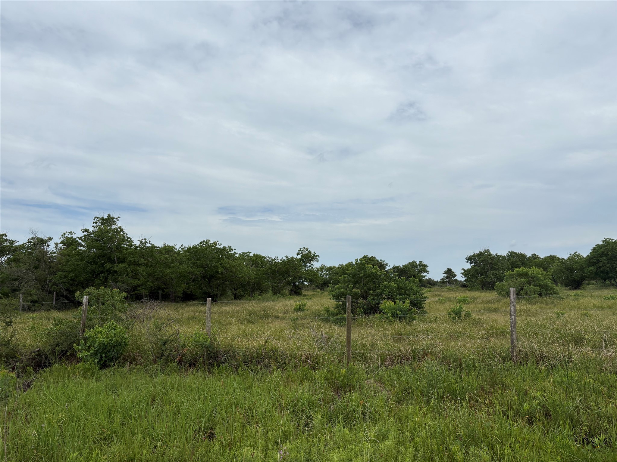 Tract 5 Brumbelow Road Property Photo 1