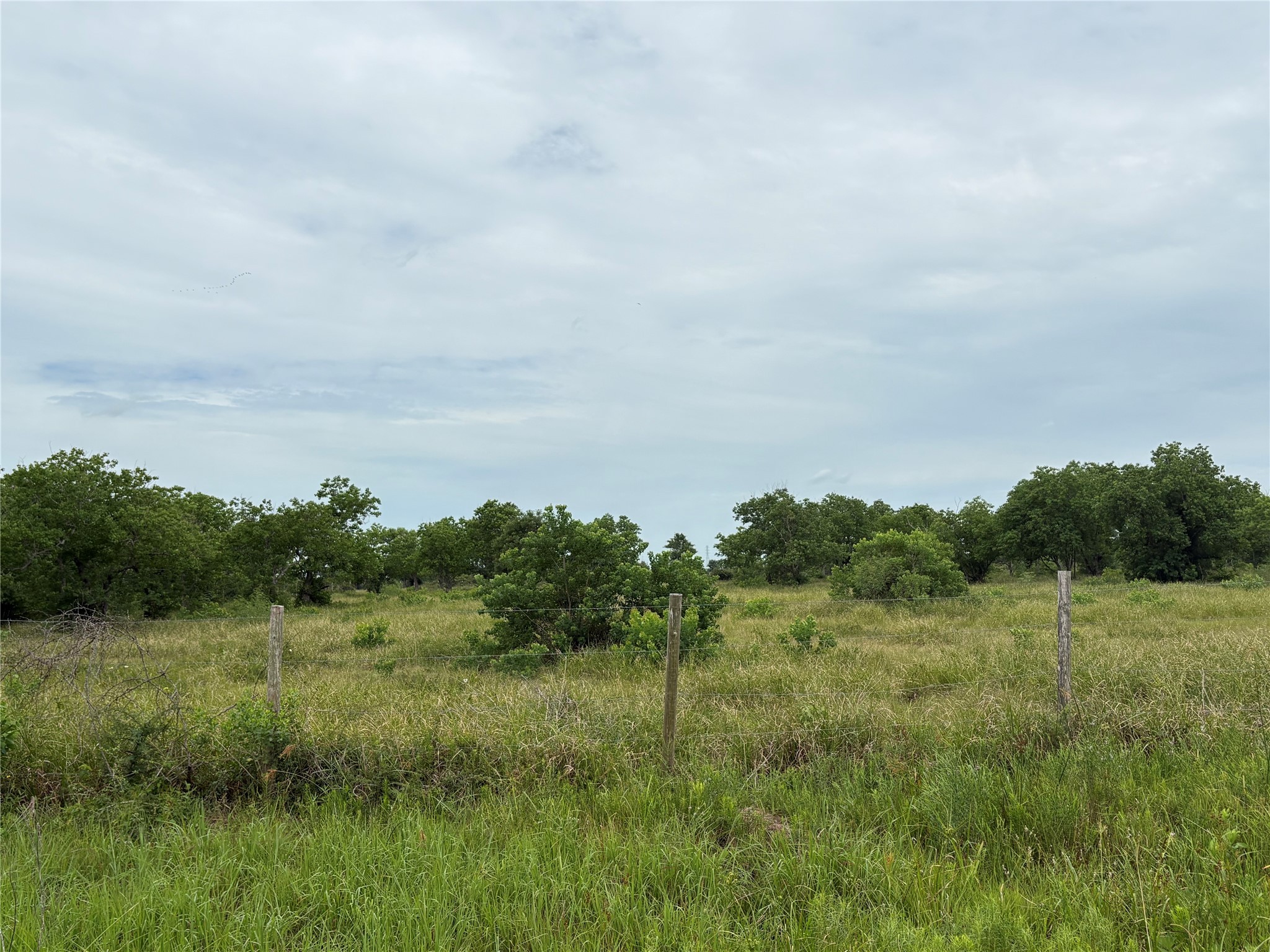 Tract 5 Brumbelow Road Property Photo 3